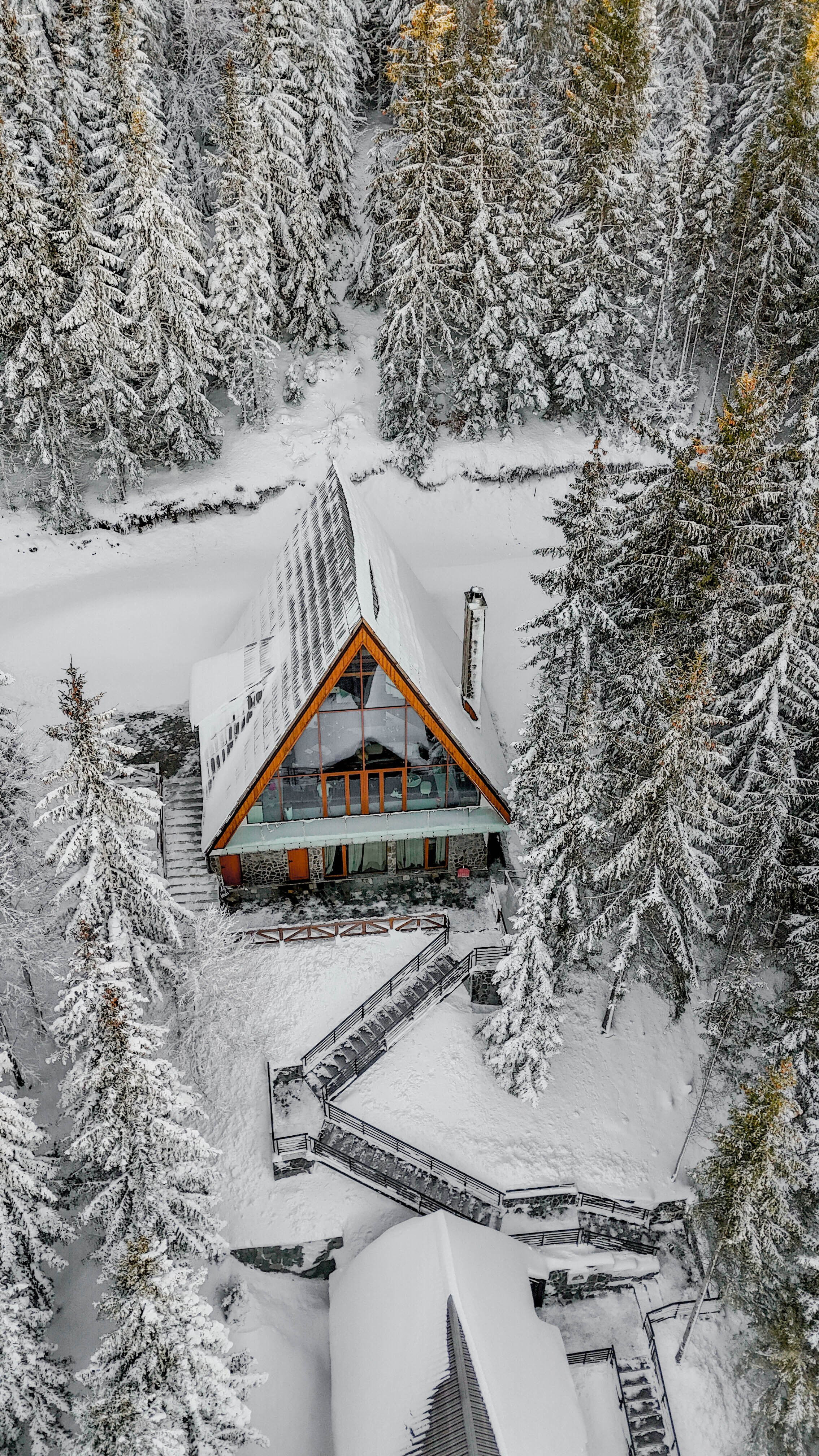 Sofia Kop. Photographer Liana Sudets Serbia Kopaonik Brzece Brus