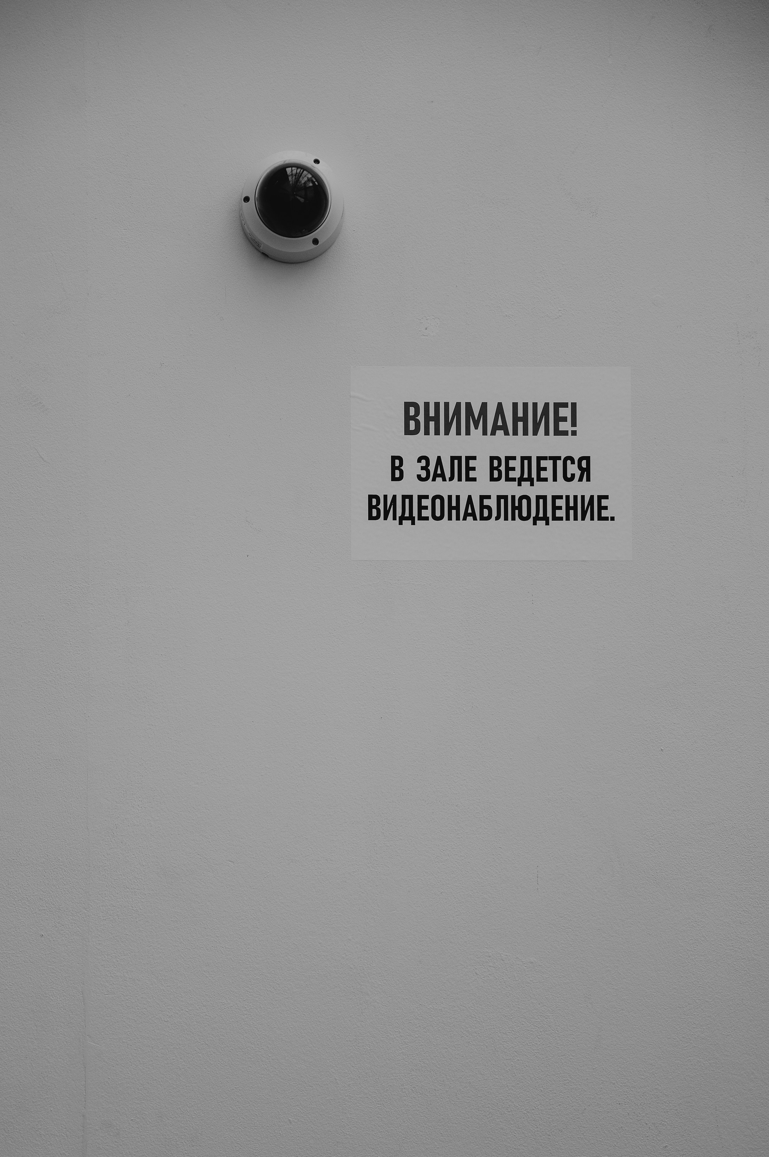 Бекстейдж показа «Новые Имена» собака.ru|ДЛТ. Портретный и репортажный фотограф в Санкт-Петербурге