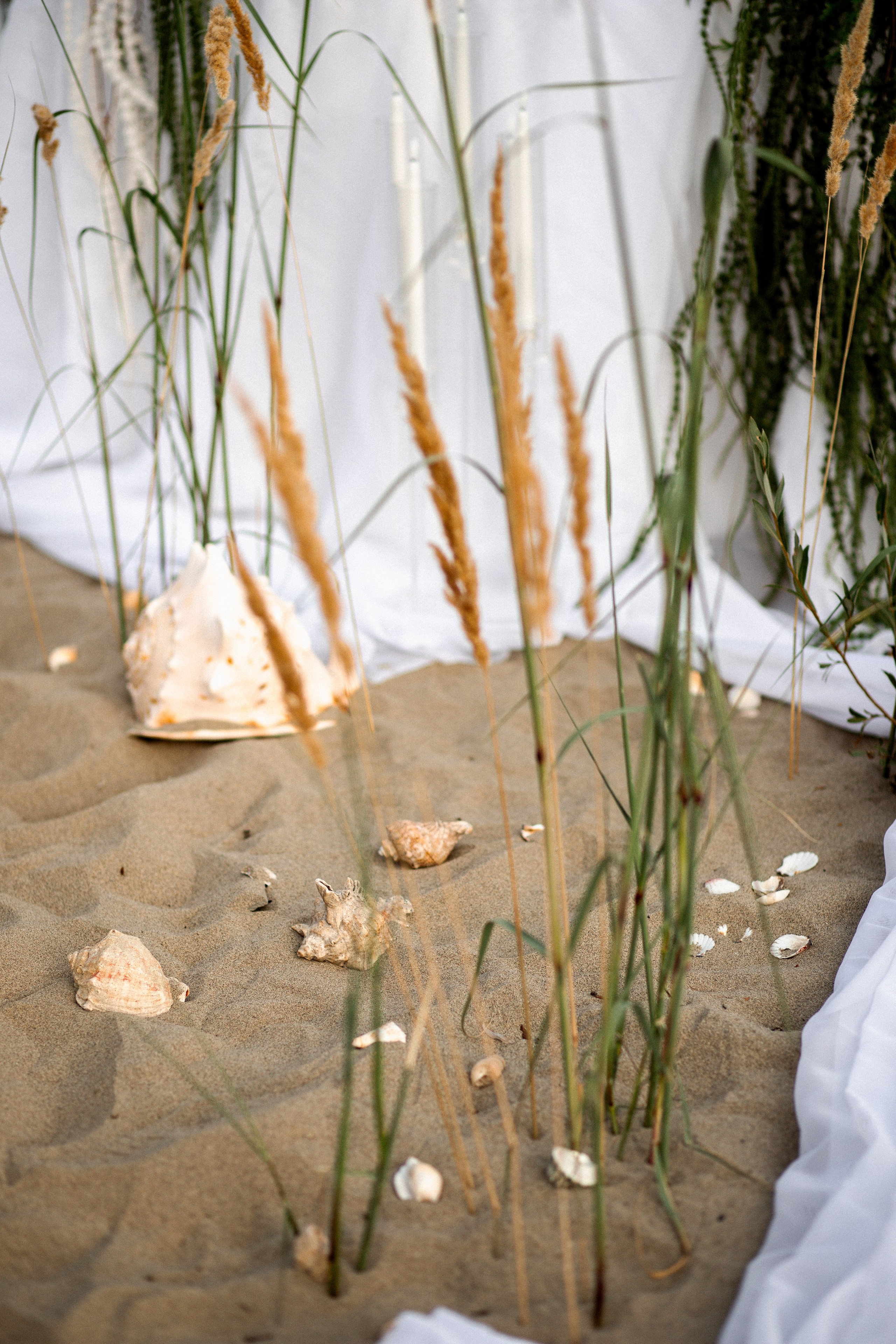 Фотограф в Краснодаре и Краснодарском Крае