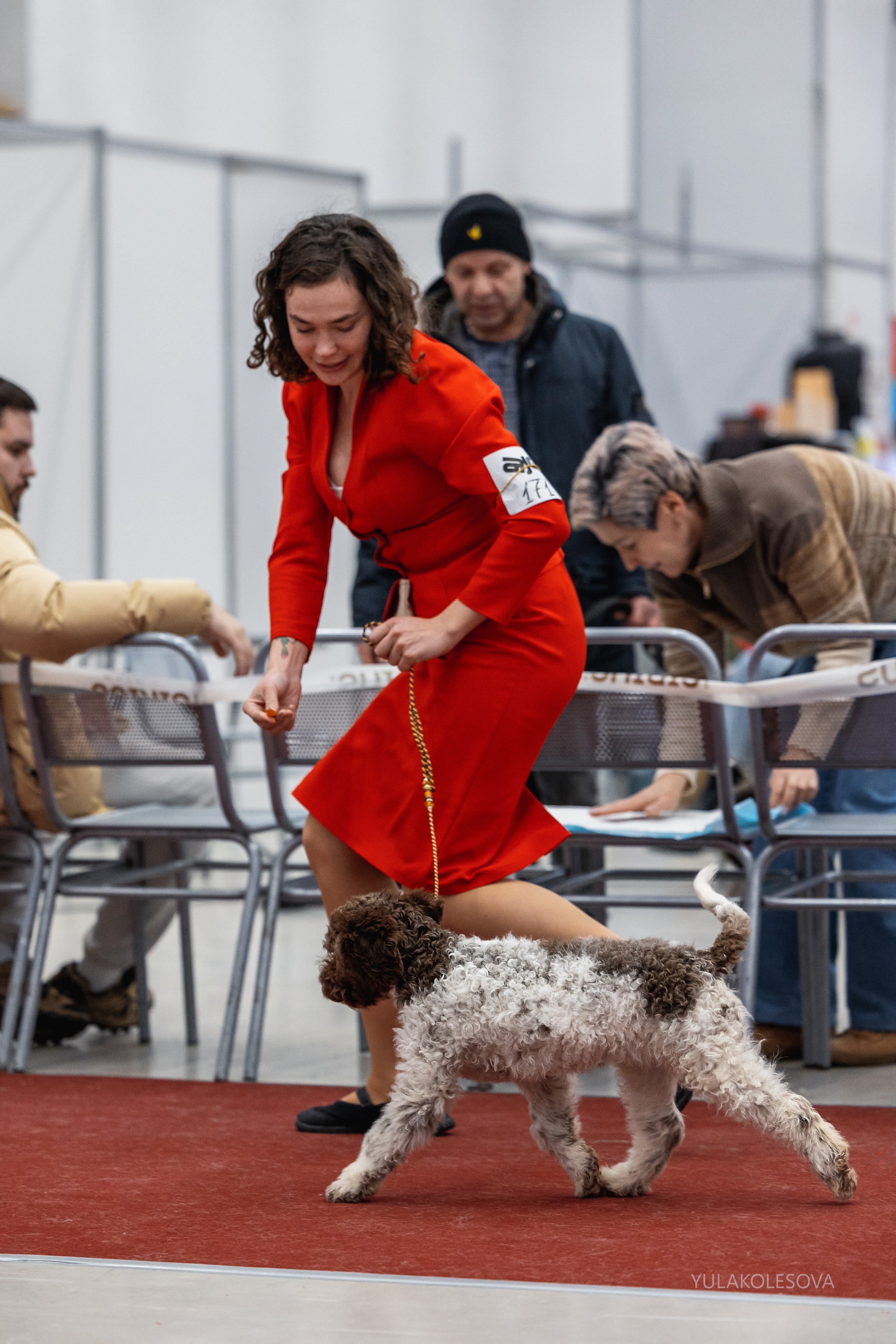 14.12.2024 Выставка собак всех пород «Кубок Дружбы — 2024». YULA KOLESOVA | Фотограф — Анималист | Художник | Тюмень