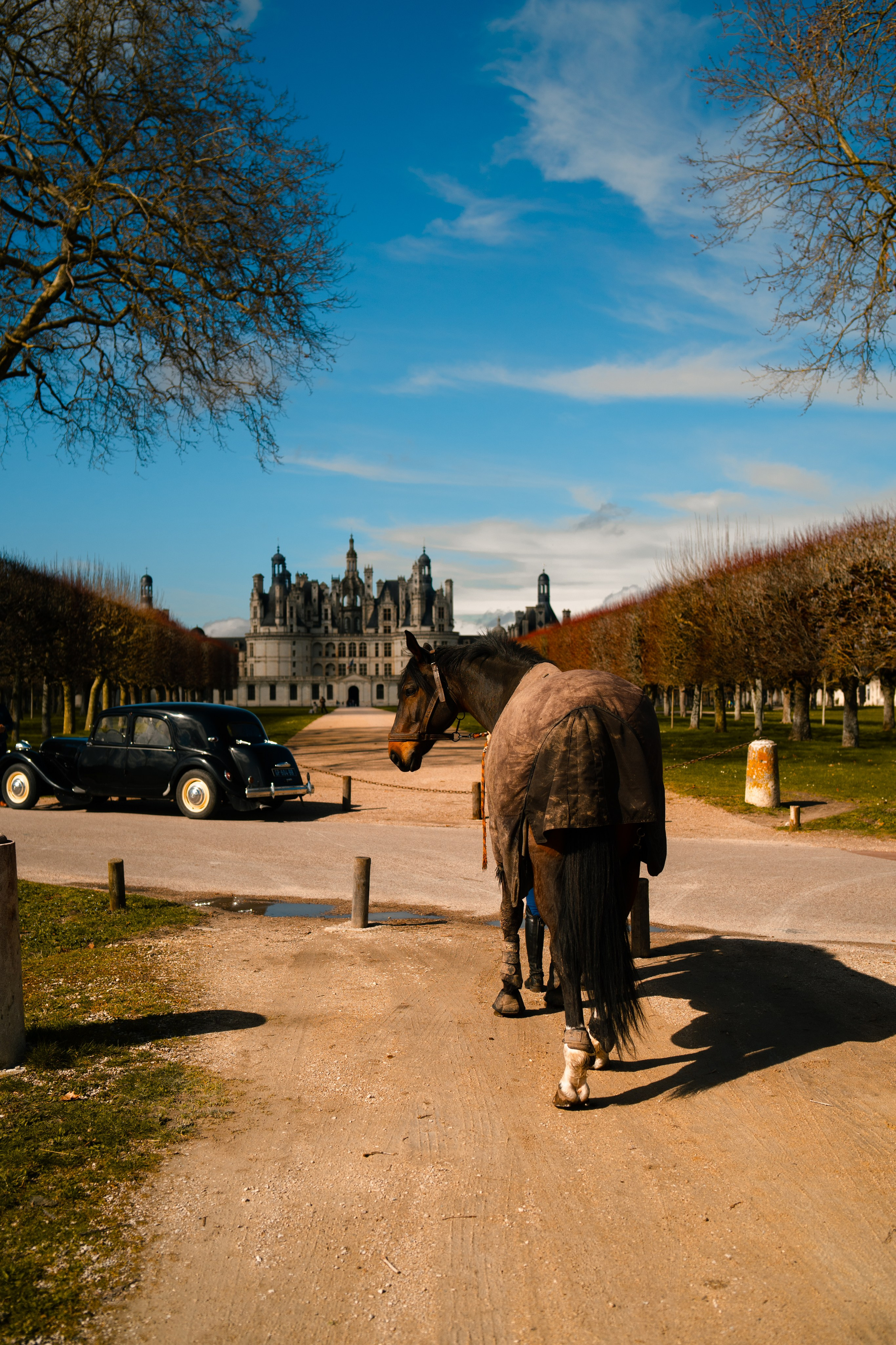 Франция. Фотограф в Санкт-Петербурге