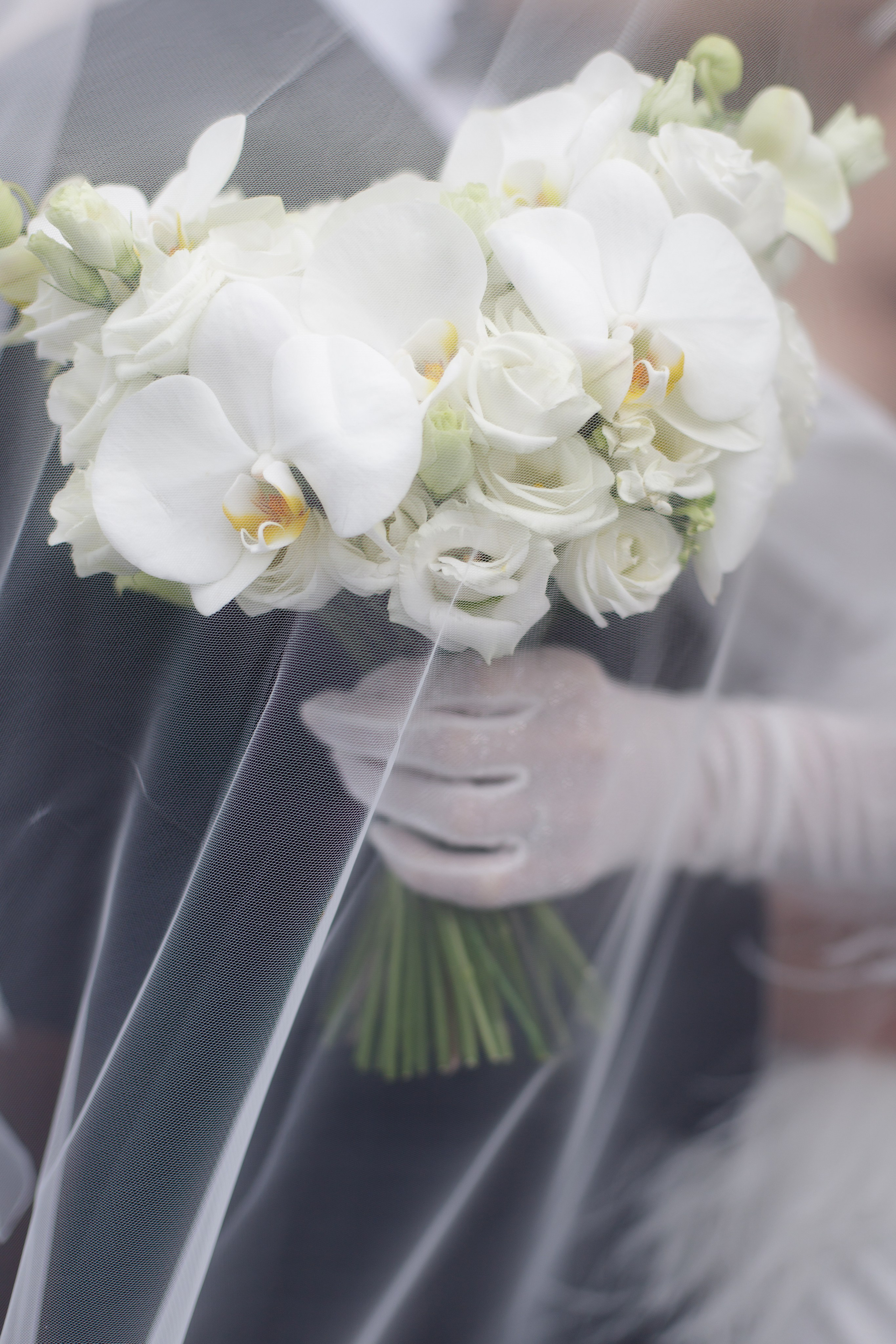 Alina & Ignat. Свадебный фотограф Москва Брянск Елена Клещёва