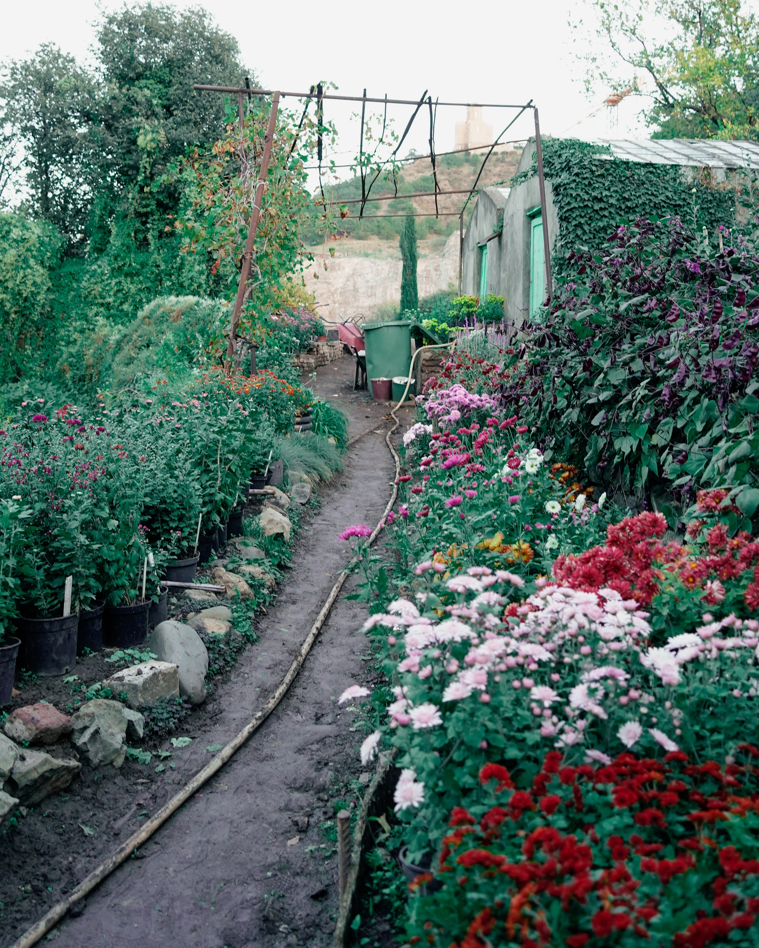 СЕРГЕЙ | БОТАНИЧЕСКИЙ САД ТБИЛИСИ. Photographer Barcelona