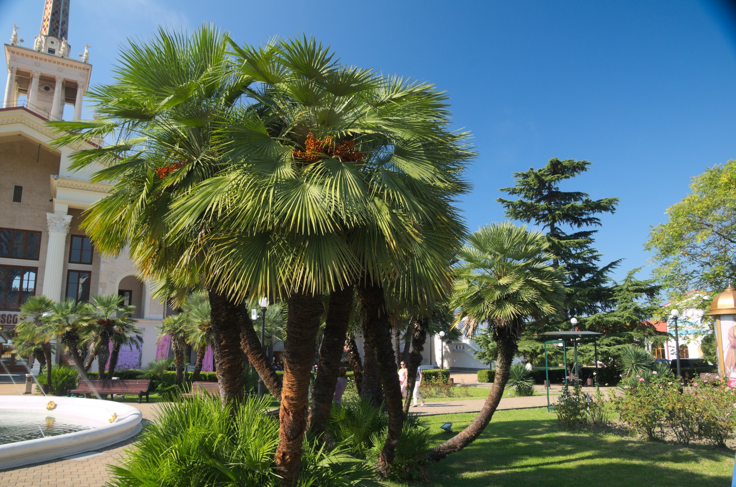 Сочи | 05-06.10.2019. Галерея Фантим