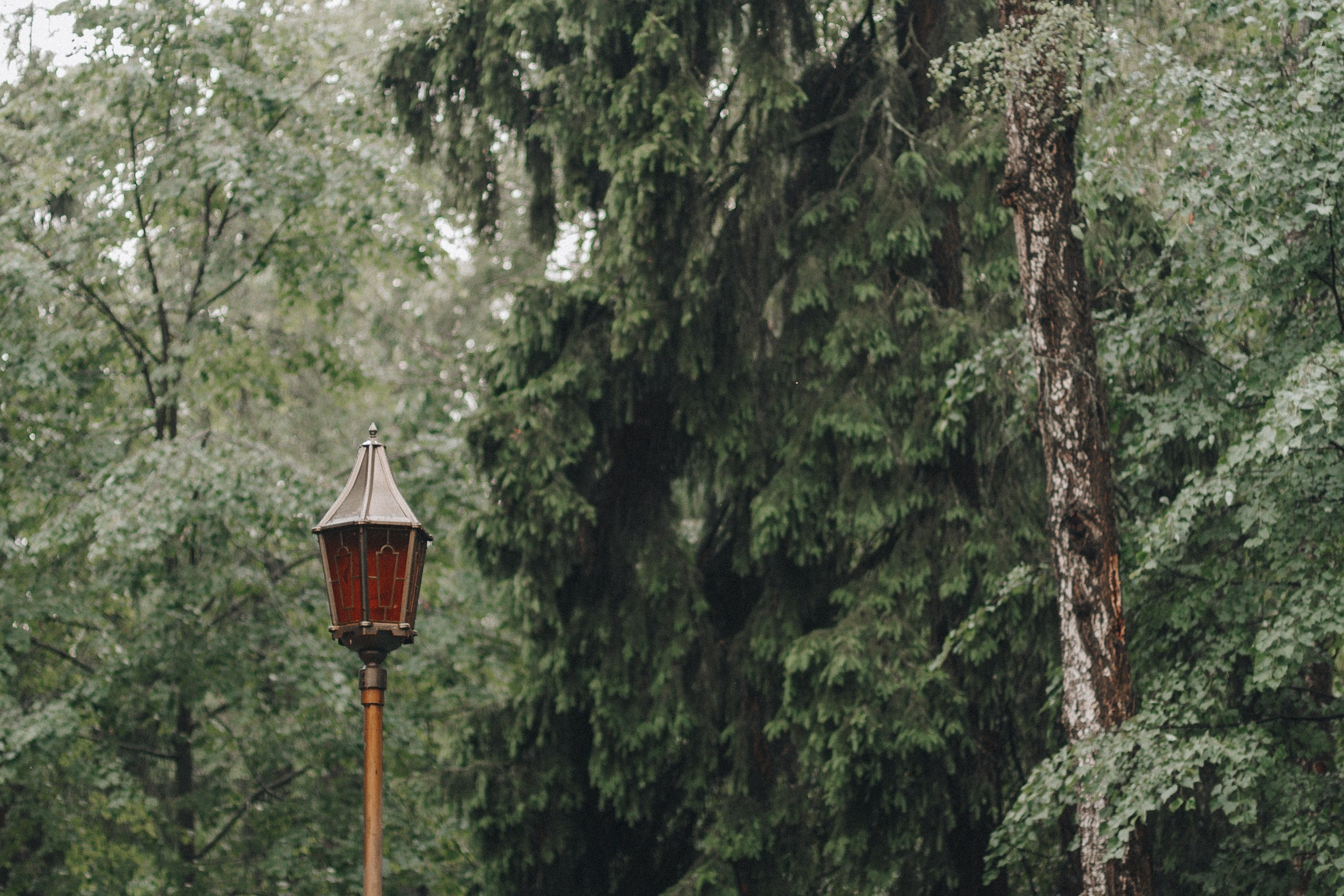 Шашлыки с ночевкой | 20-21.06.20. Галерея Фантим