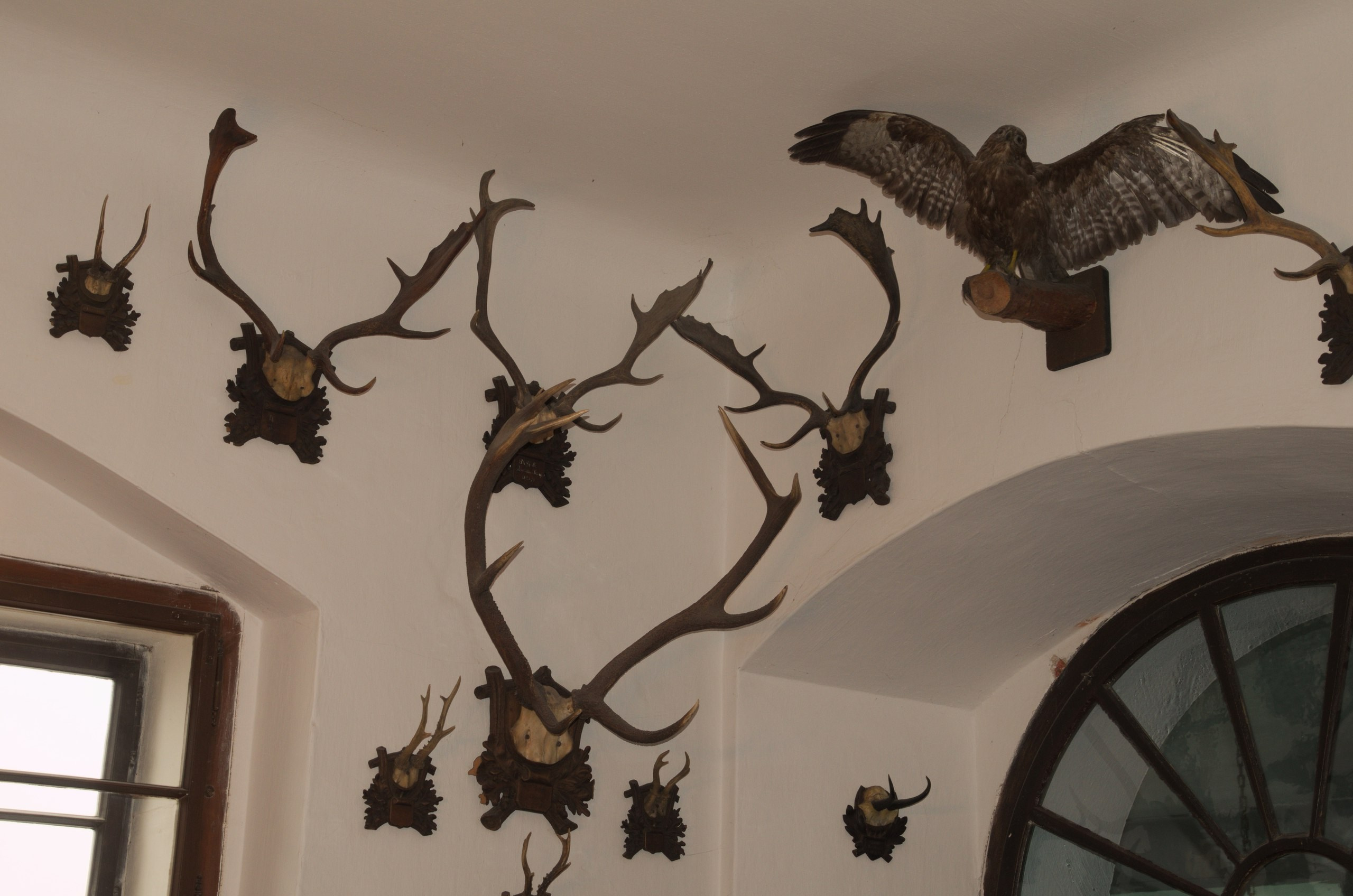 Чехия | 06-09.05.2017. Галерея Фантим