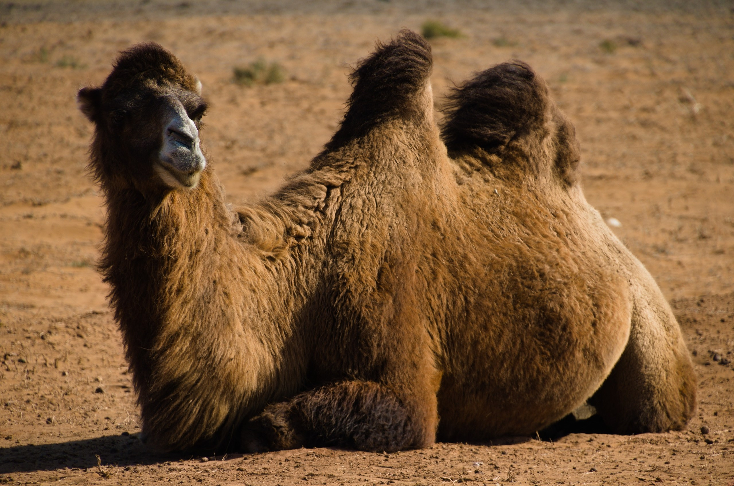 Астрахань | 17-18.10.2020. Галерея Фантим