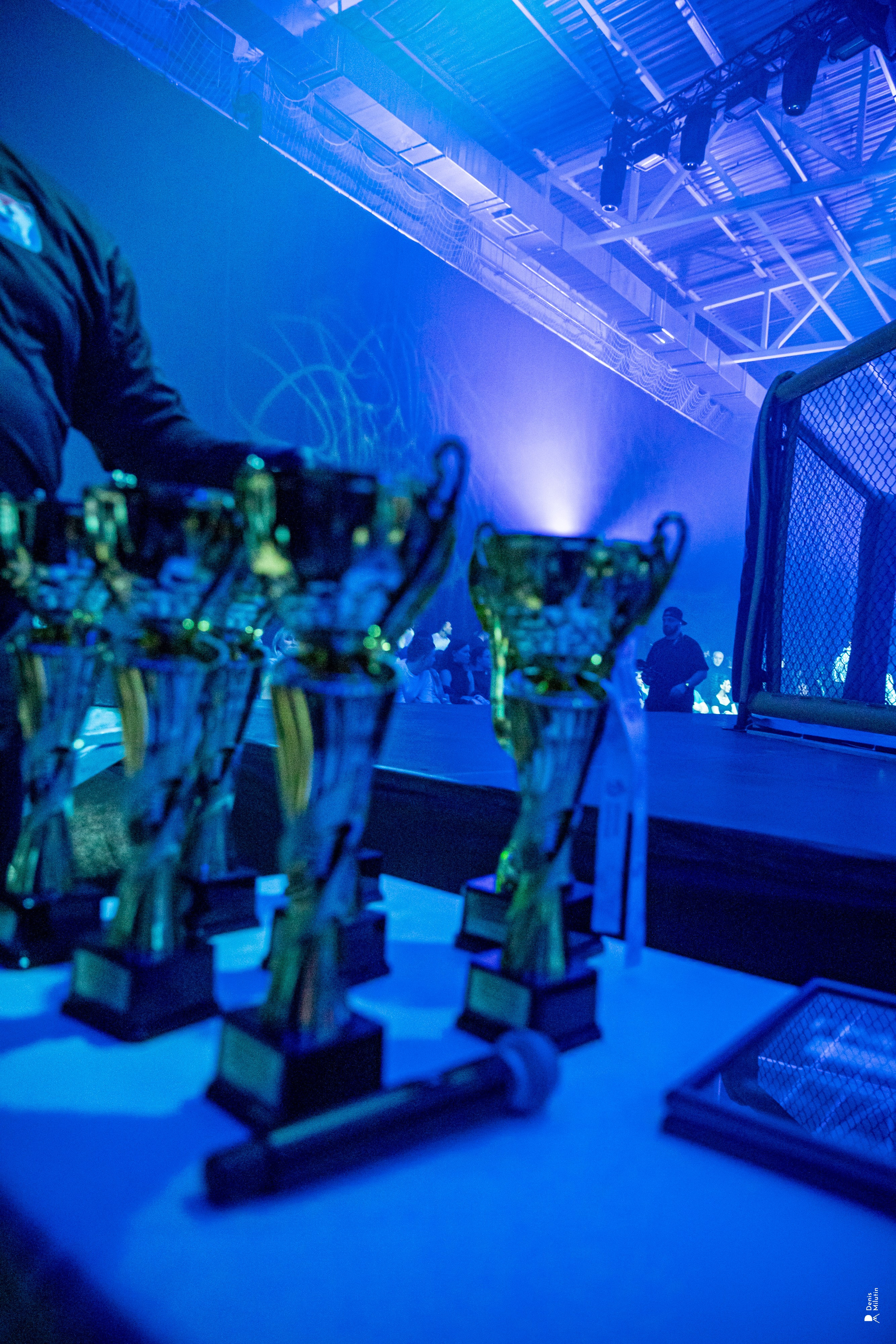 Бои в клетке «Северный Воин». Портретный фотограф Денис Милютин