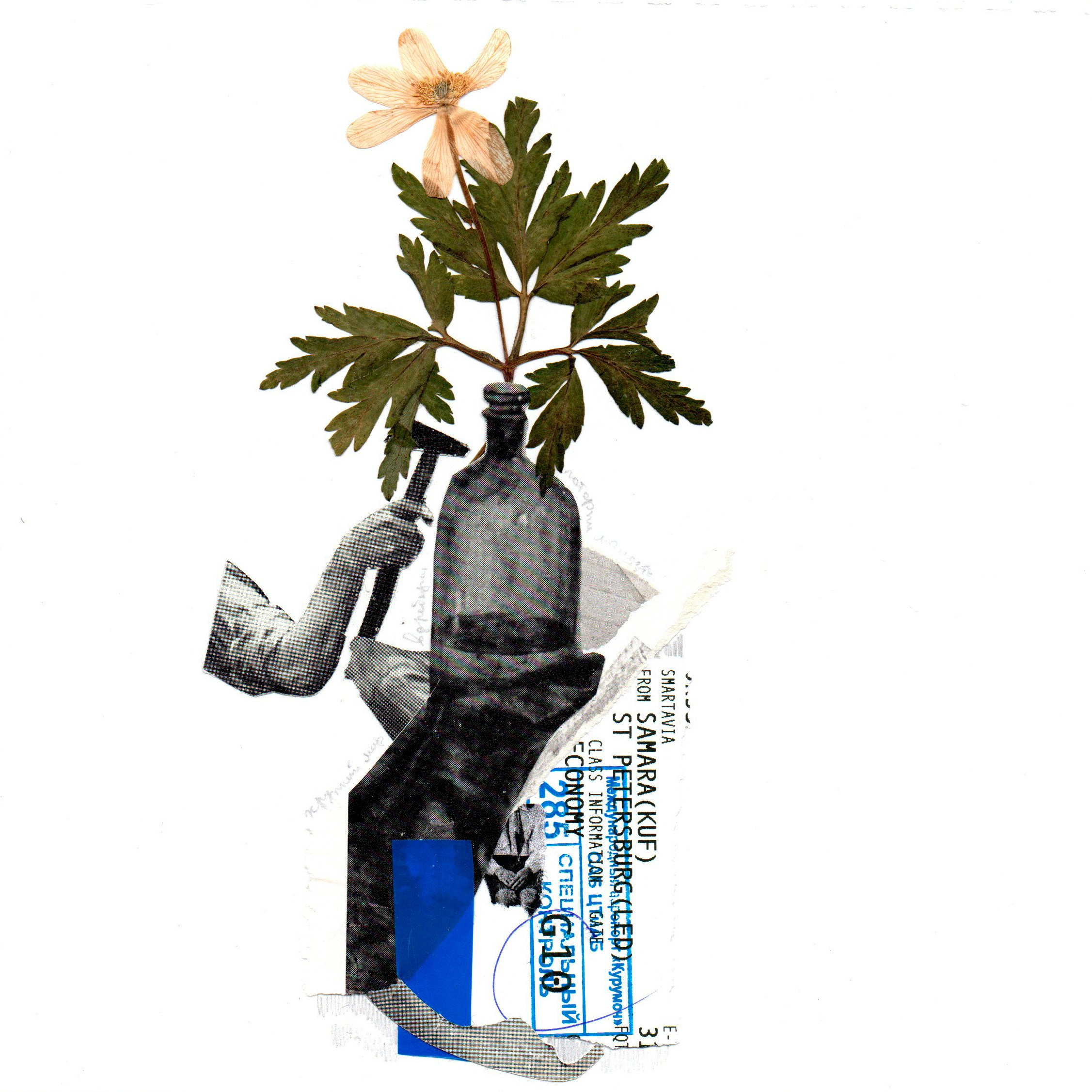 Коллажный дневник. Фотограф Анна Кирнос