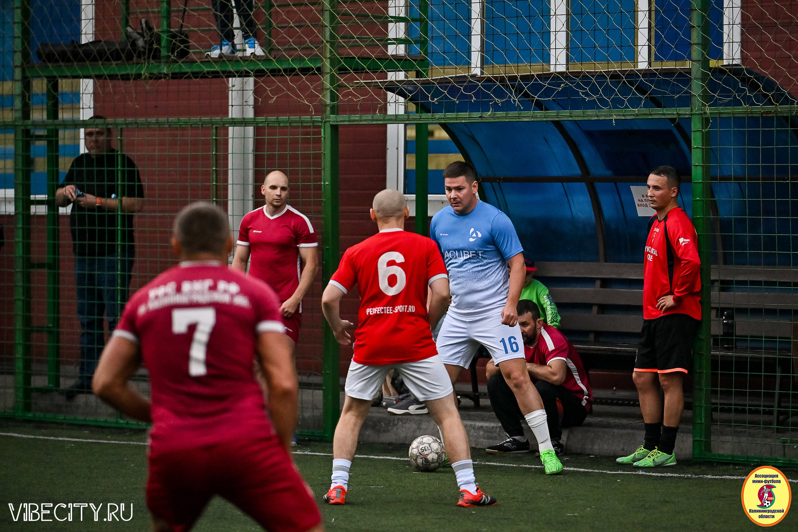 ПЛЕЙ-ОФФ КОРПОРАТИВНОЙ МФЛ И КУБКА МФЛ. VIBECITY.RU Вайб Сити Ру Фоторепортажи Фотоотчеты Калининград
