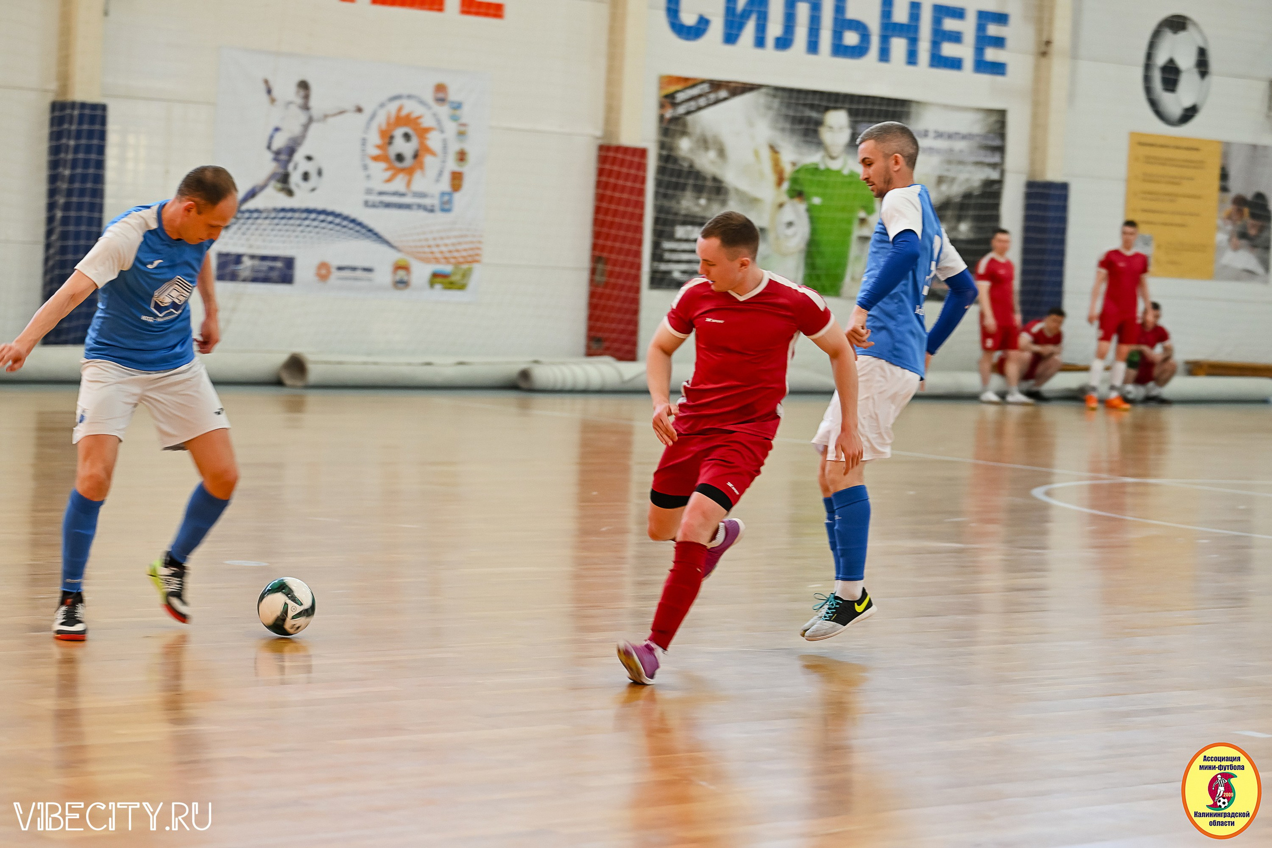 МФЛ СанТермо. VIBECITY.RU Вайб Сити Ру Фоторепортажи Фотоотчеты Калининград