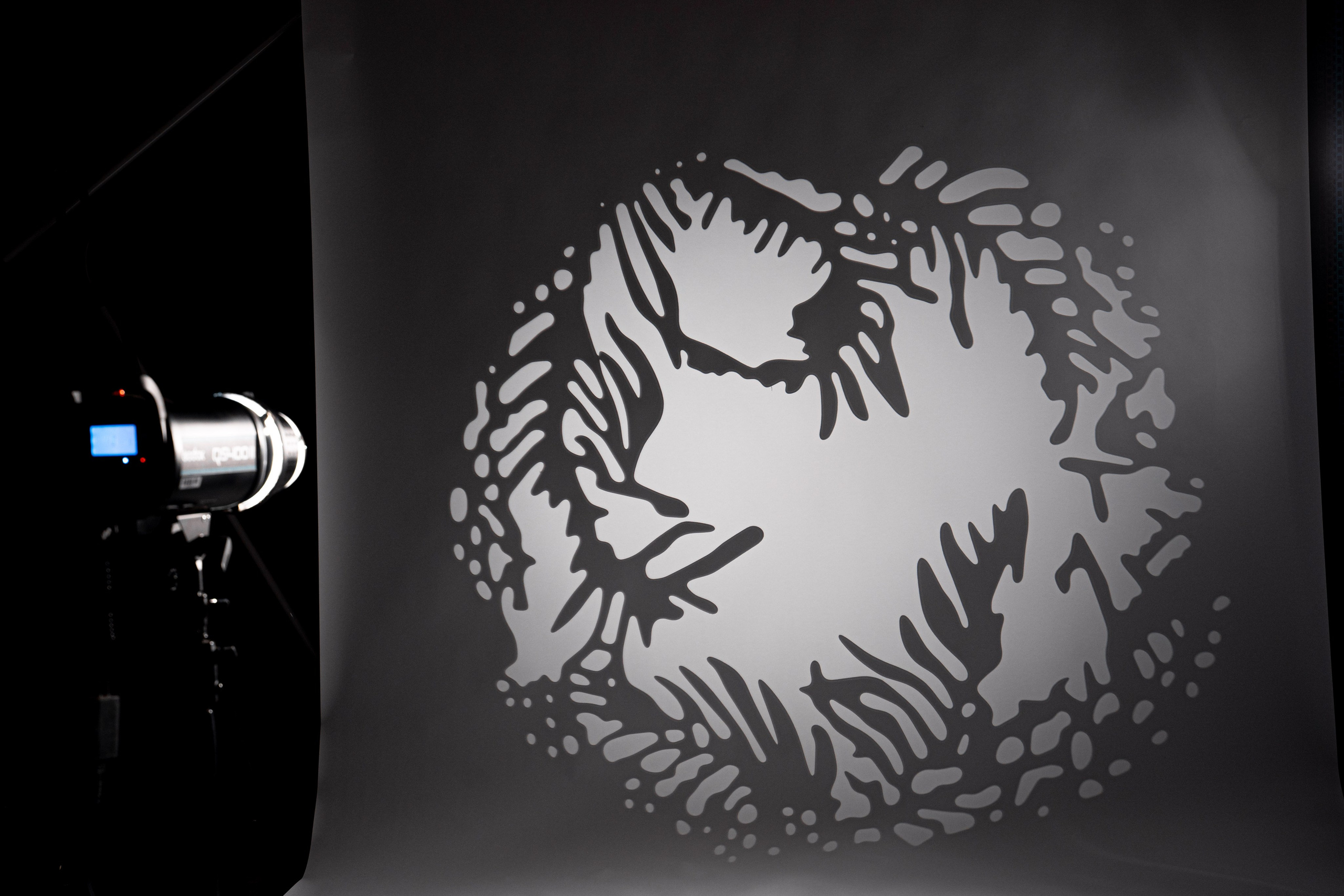 Фотостудия AlexCam | Фотостудии Саратова