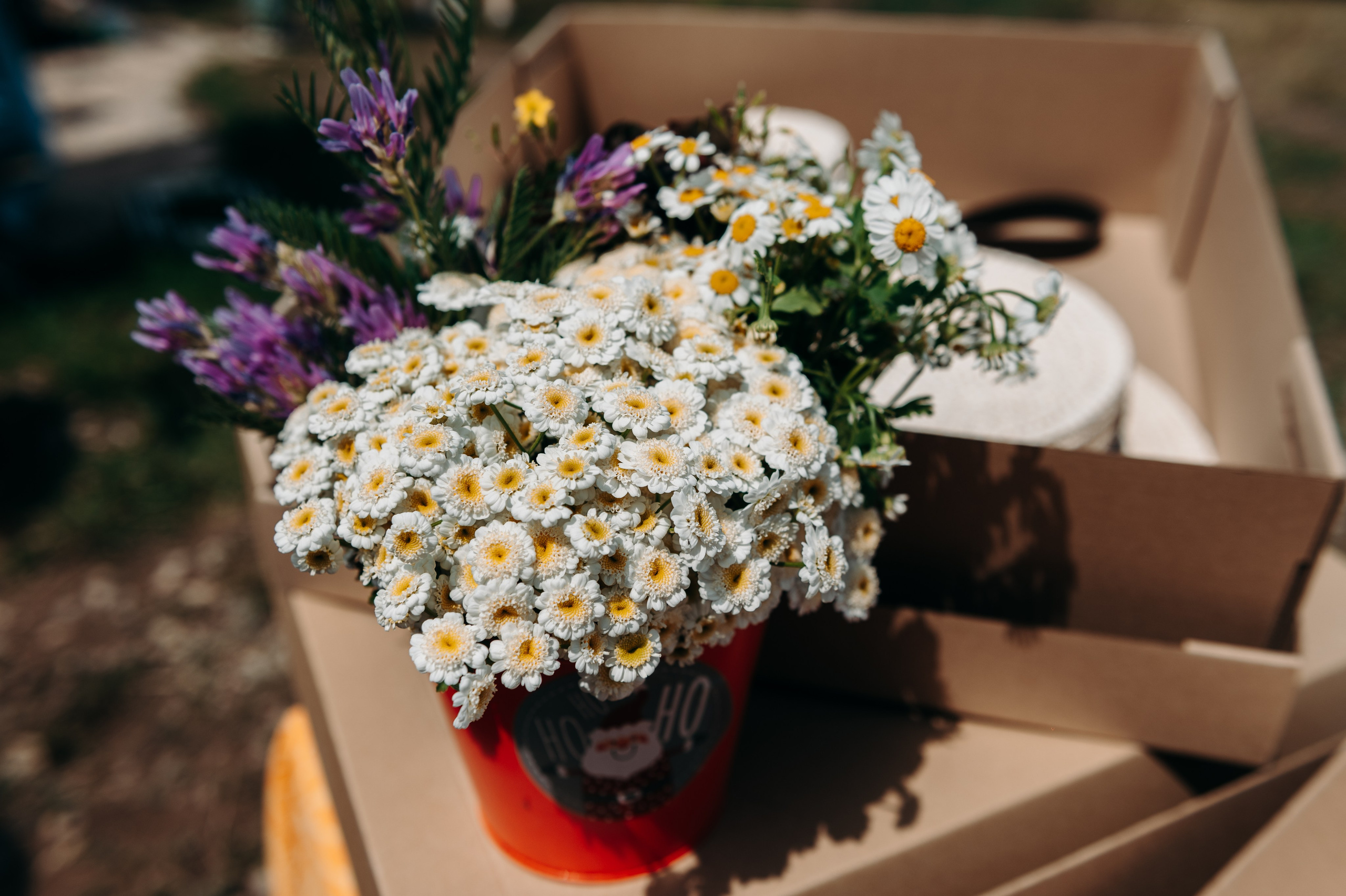 Фестиваль «Русская березка в Беловке». Свадебный и семейный фотограф в Самаре Надежда Раскина