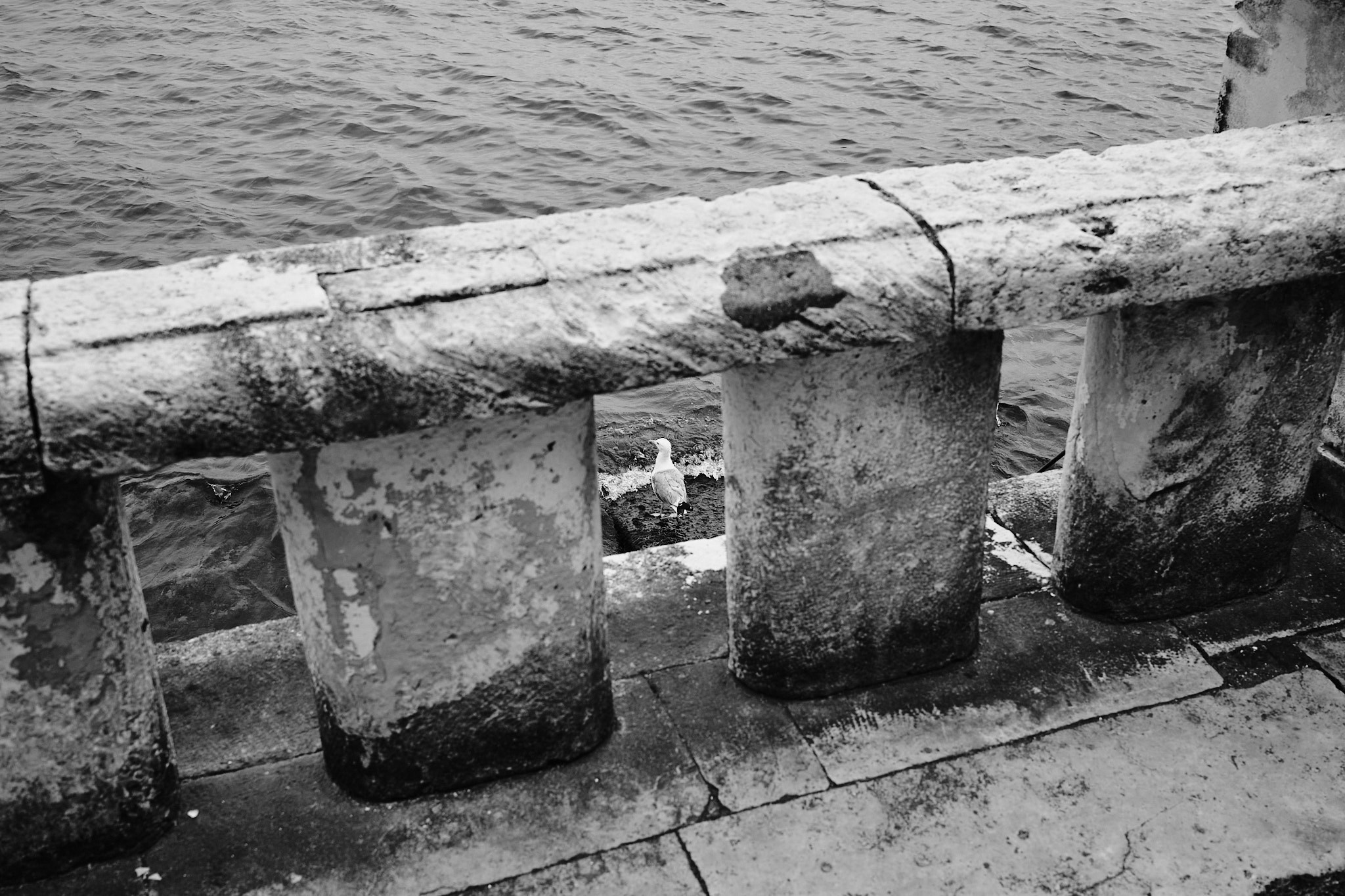 Фотограф Владимир Кононенко