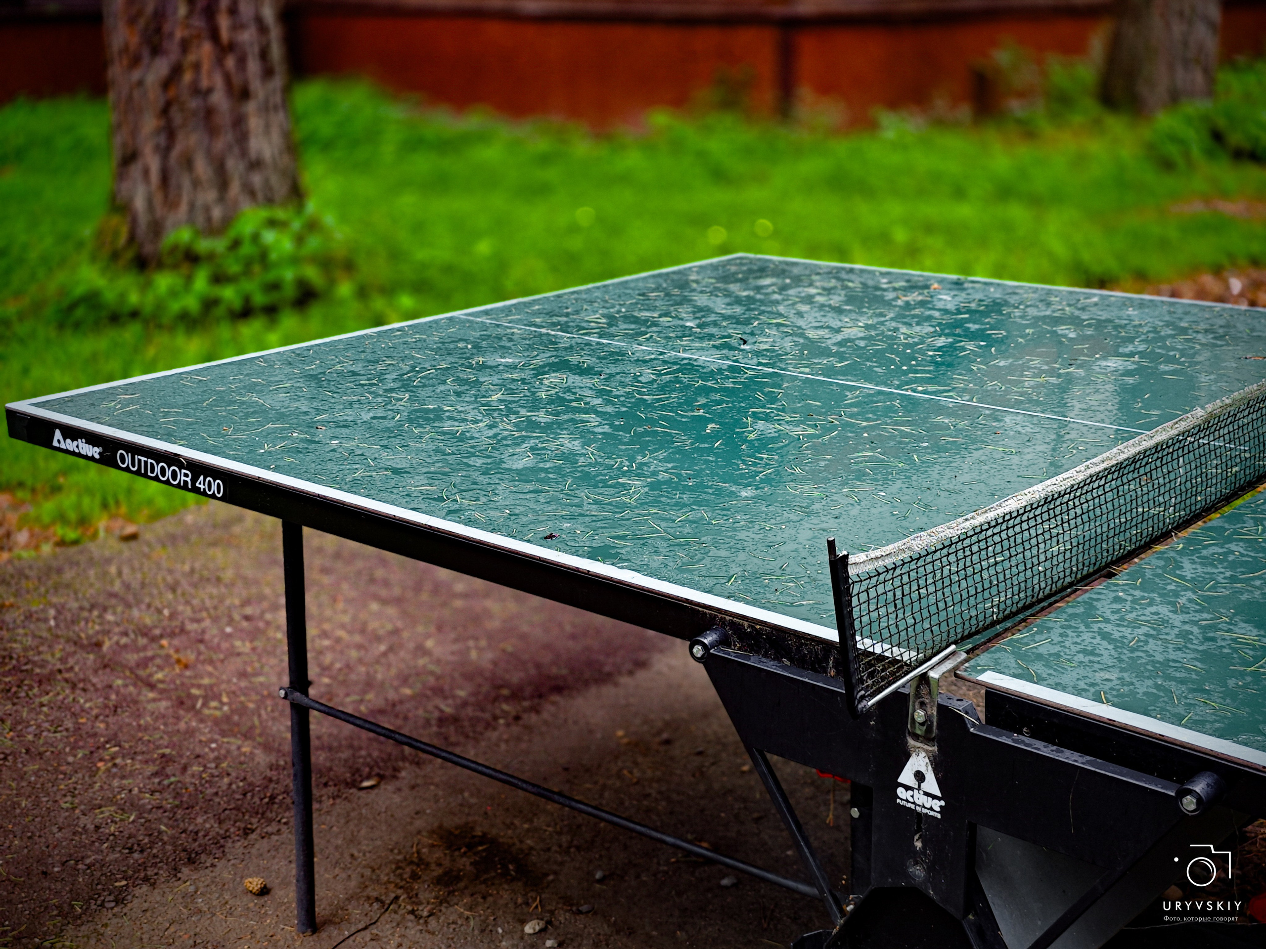 Командор, Хороший. День торговли 2025. Игорь Урывский. Фотограф Красноярск