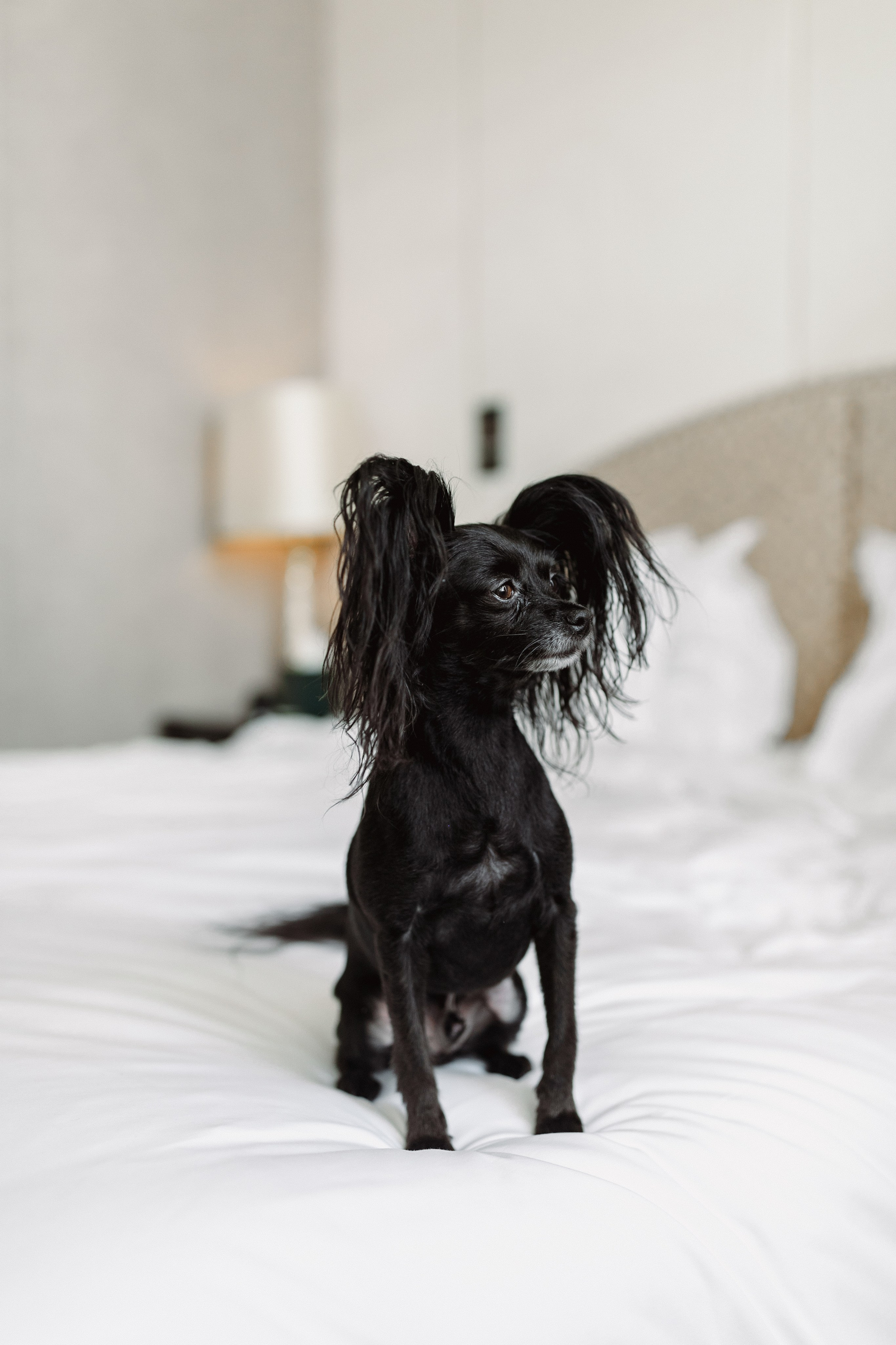 Александр & Анна. Агентство по организации мероприятий