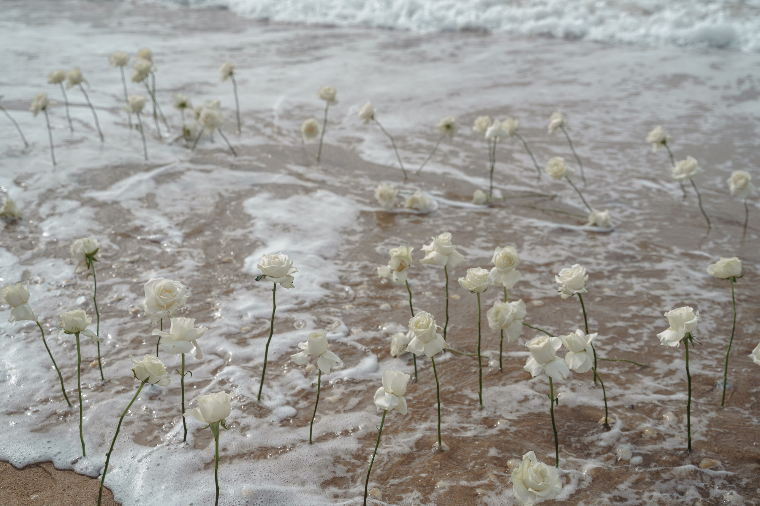 Mermaid. Портретный фотограф в Краснодаре Валерия Матирная