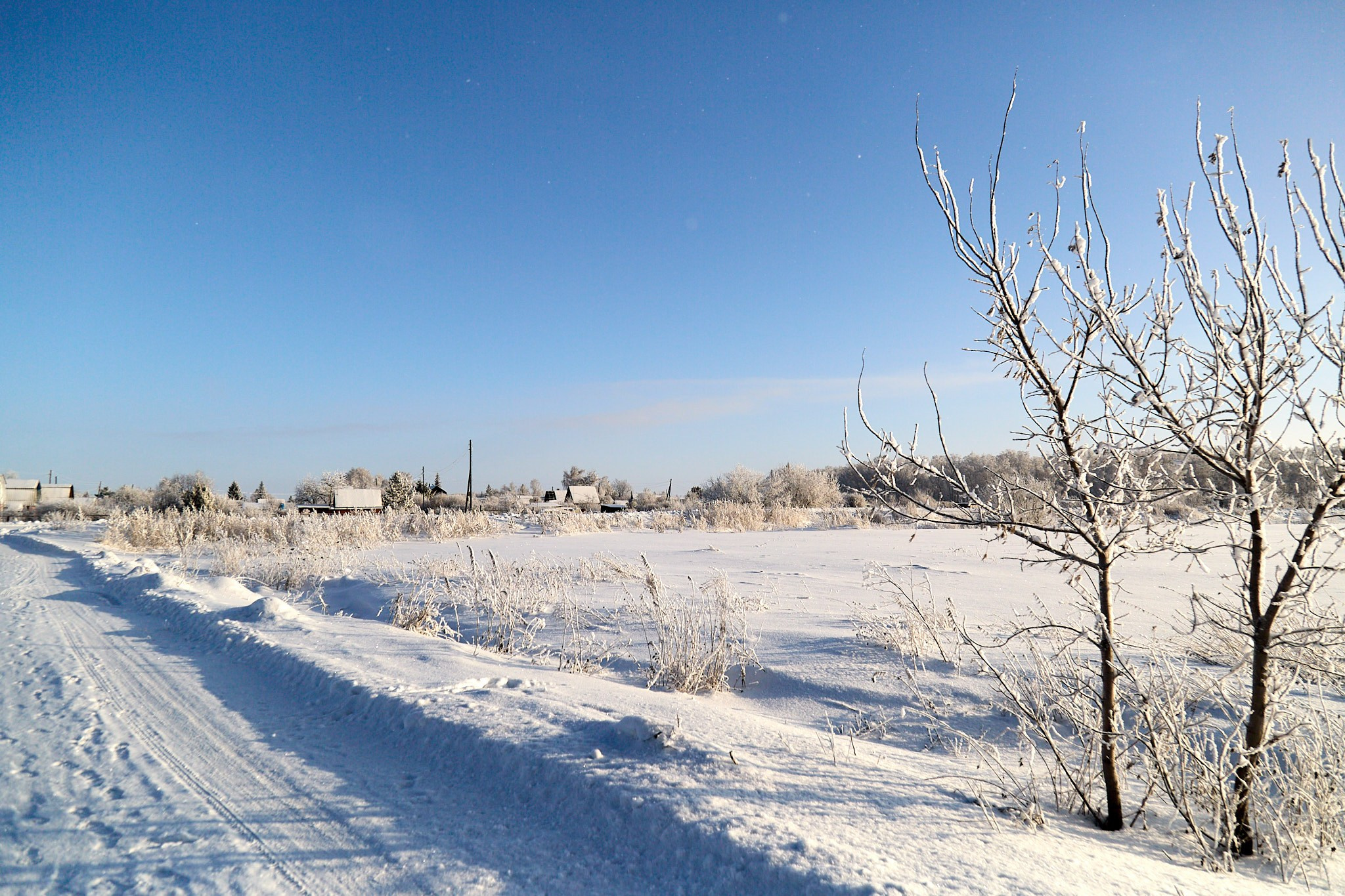 Предновогодняя сказка. Фотограф Омск | Александр Вандеров