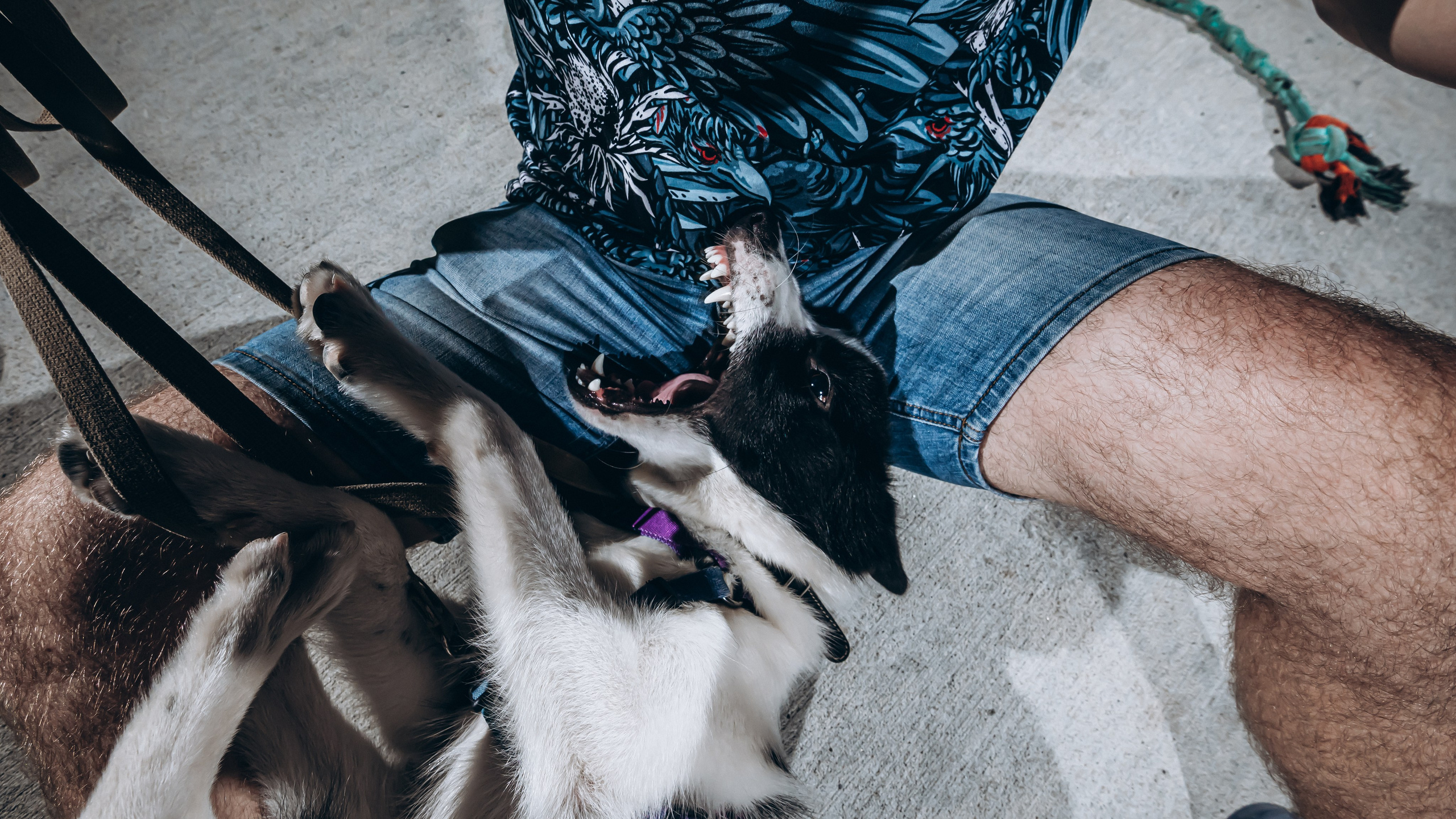 Юра. Фотограф в Благовещенске Андрей Сенченко