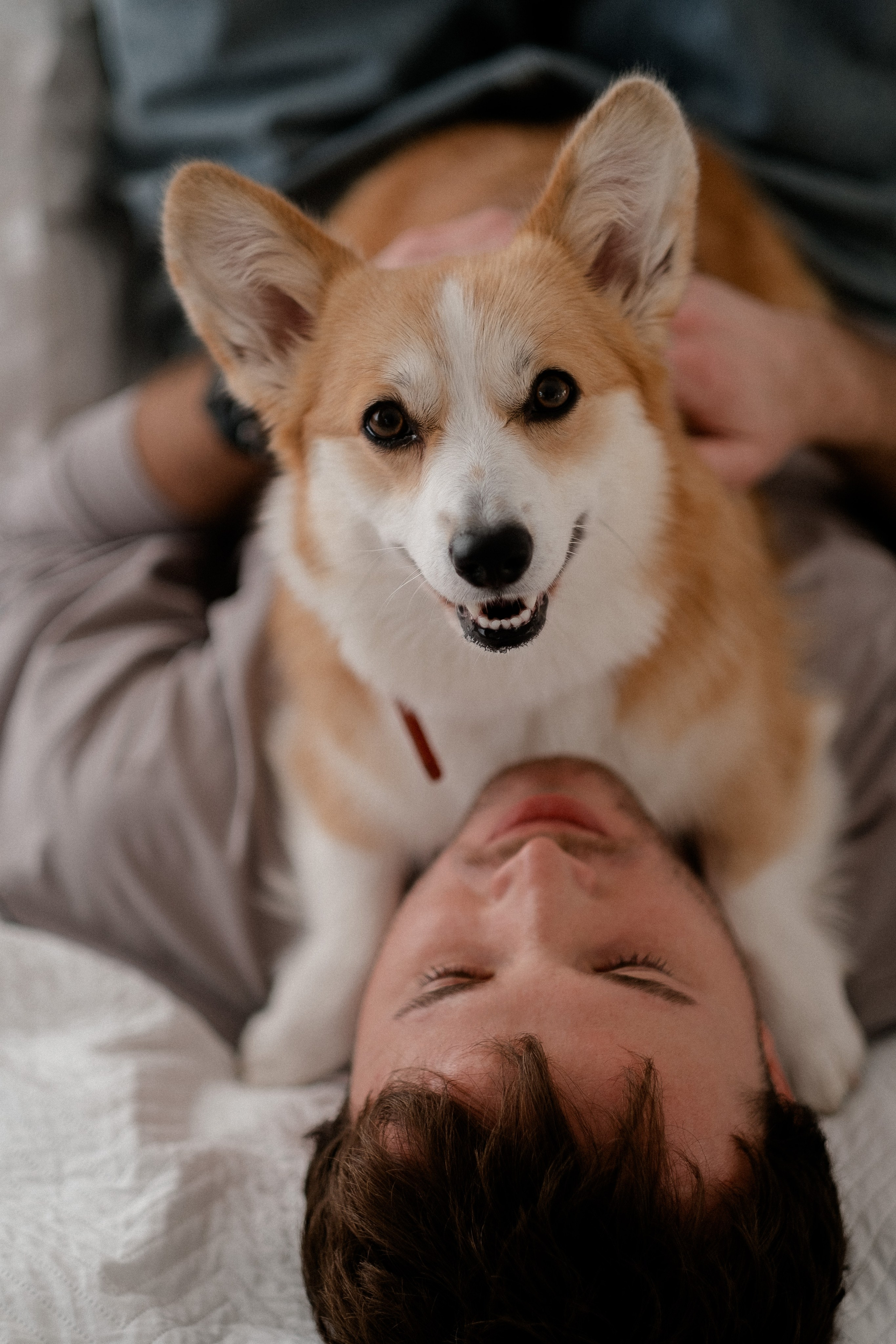 Радик. Свадебный и семейный фотограф в Казани и Зеленодольске Ланочкин Илья