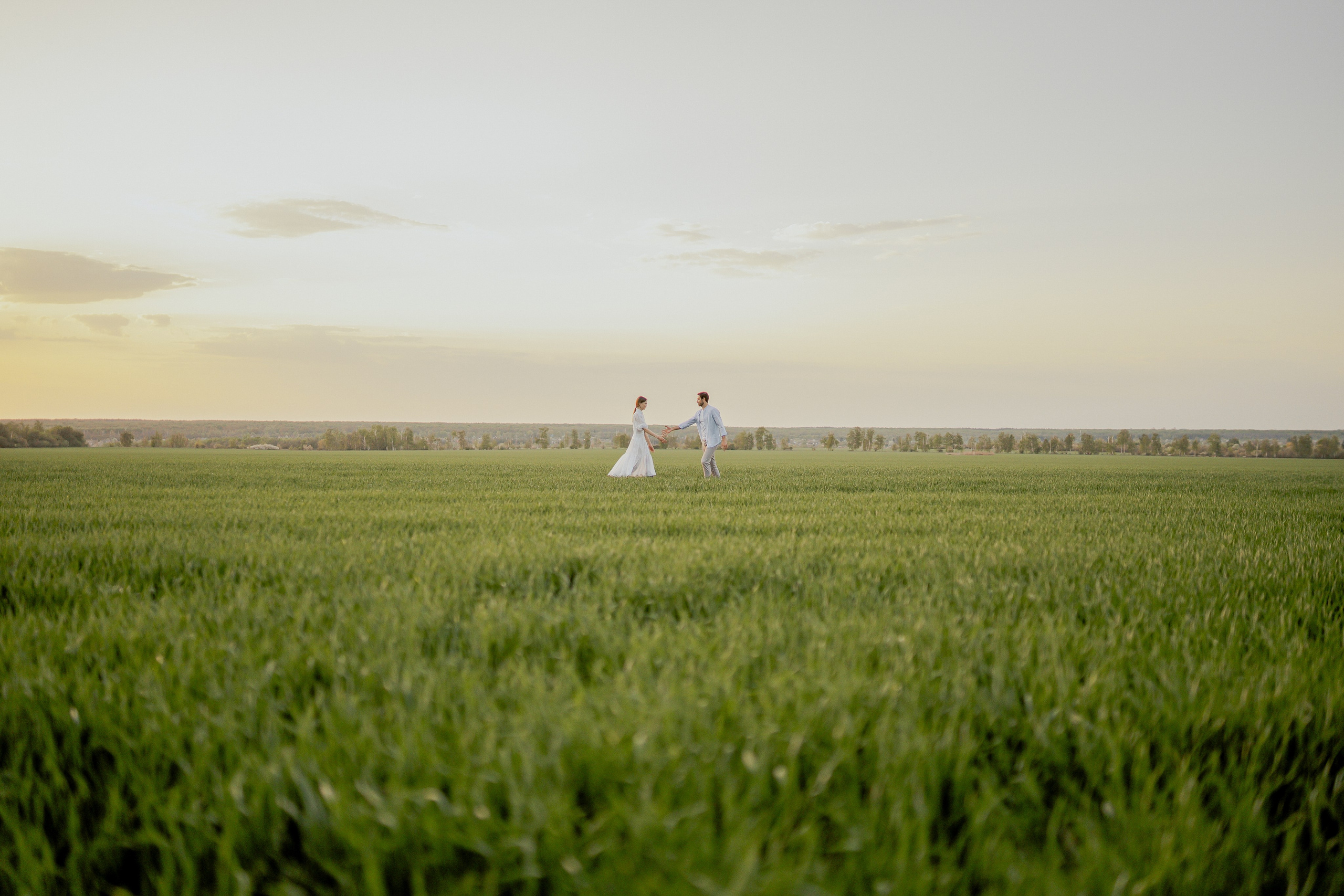 Поле. Фотограф Мария Зайчик