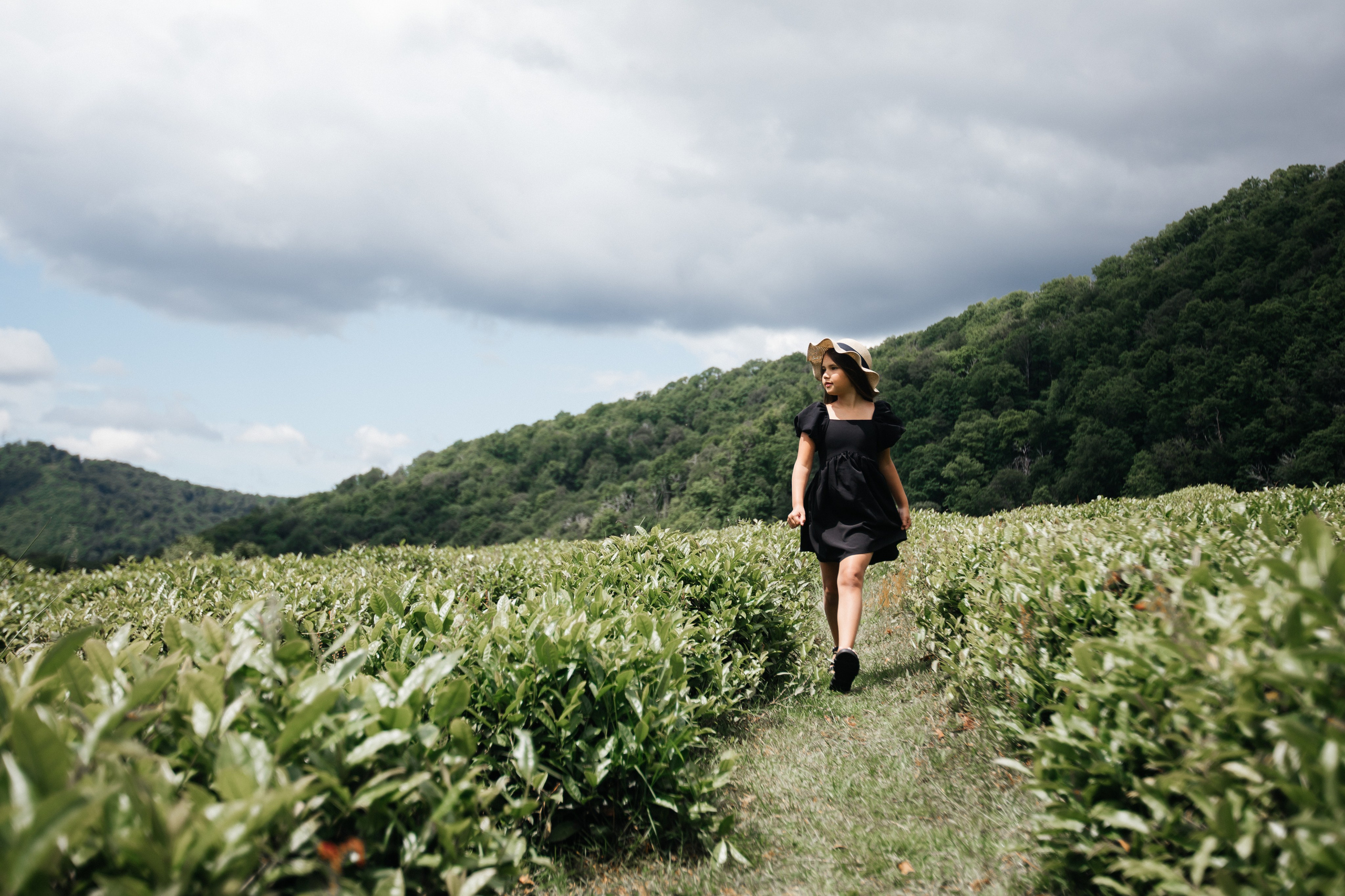 Tea plantation. Efimova Model Agency