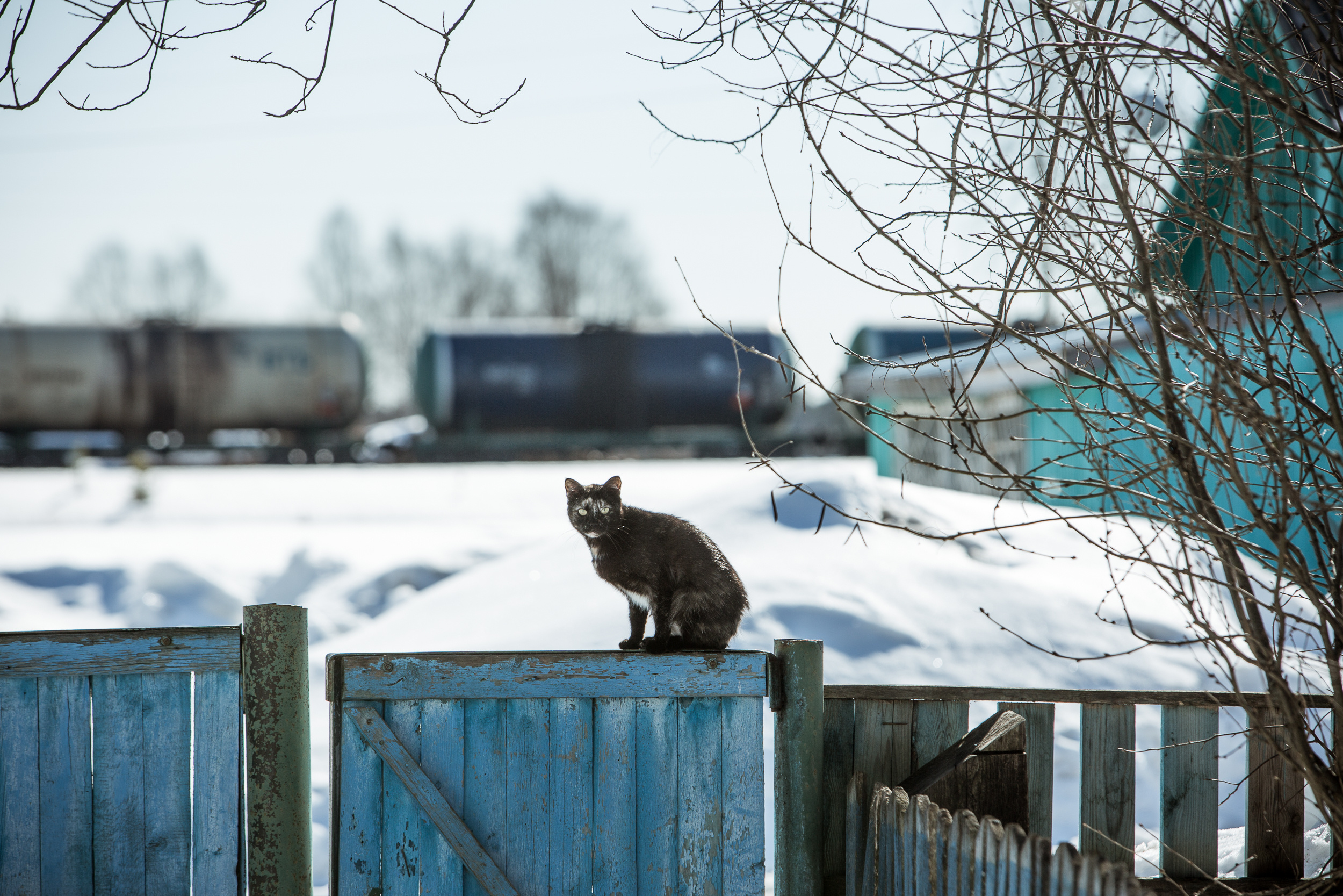 Юлия Невская режиссер и сценарист документального кино, документальный фотограф, визуальный сторителлер
