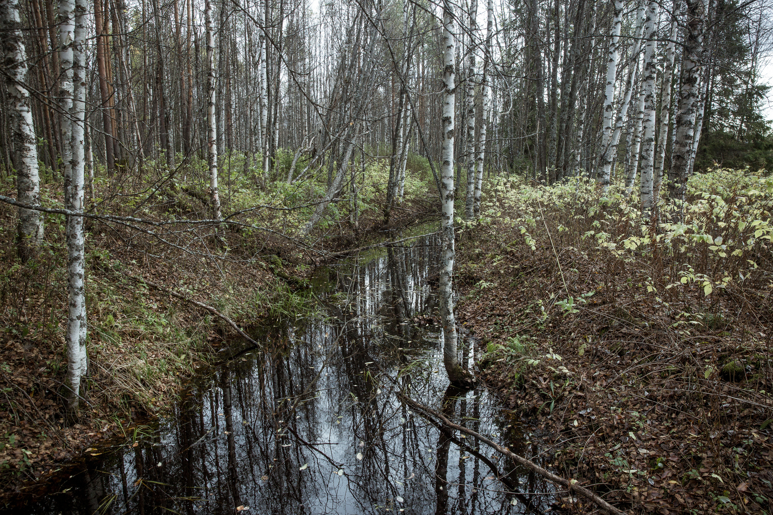 Юлия Невская режиссер и сценарист документального кино, документальный фотограф, визуальный сторителлер