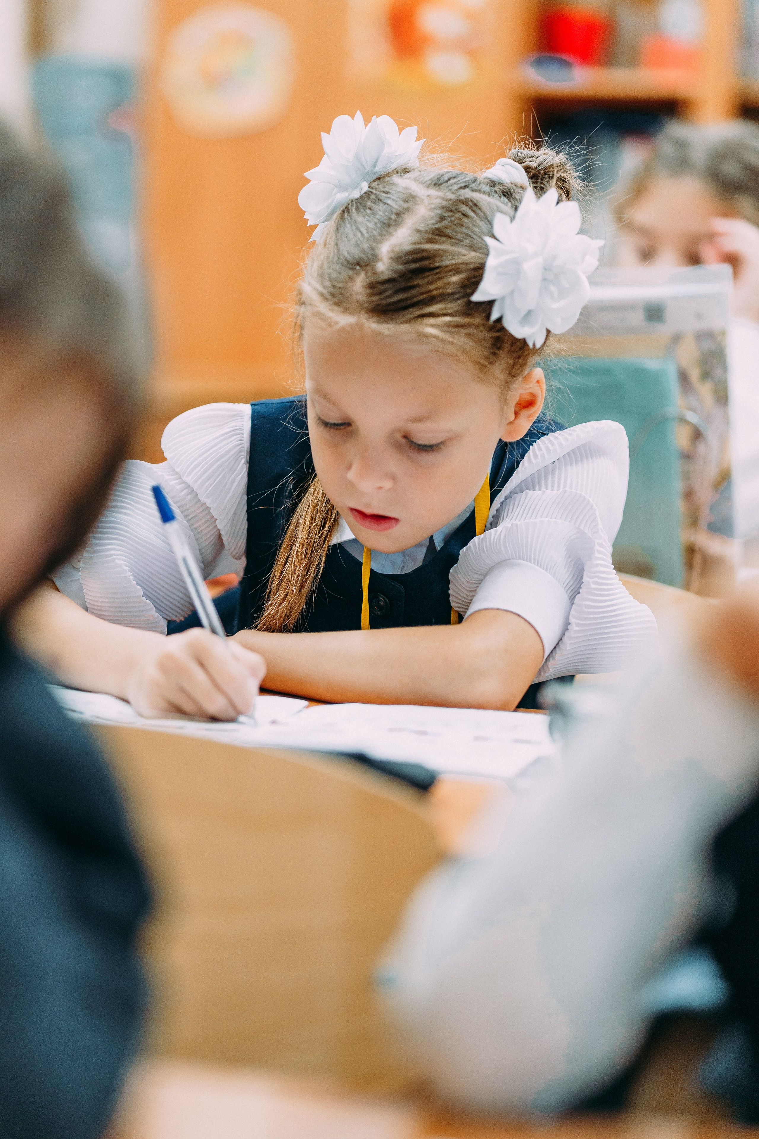 1 класс. Школьные альбомы и альбомы для детского сада. Юлия Осипова. Москва