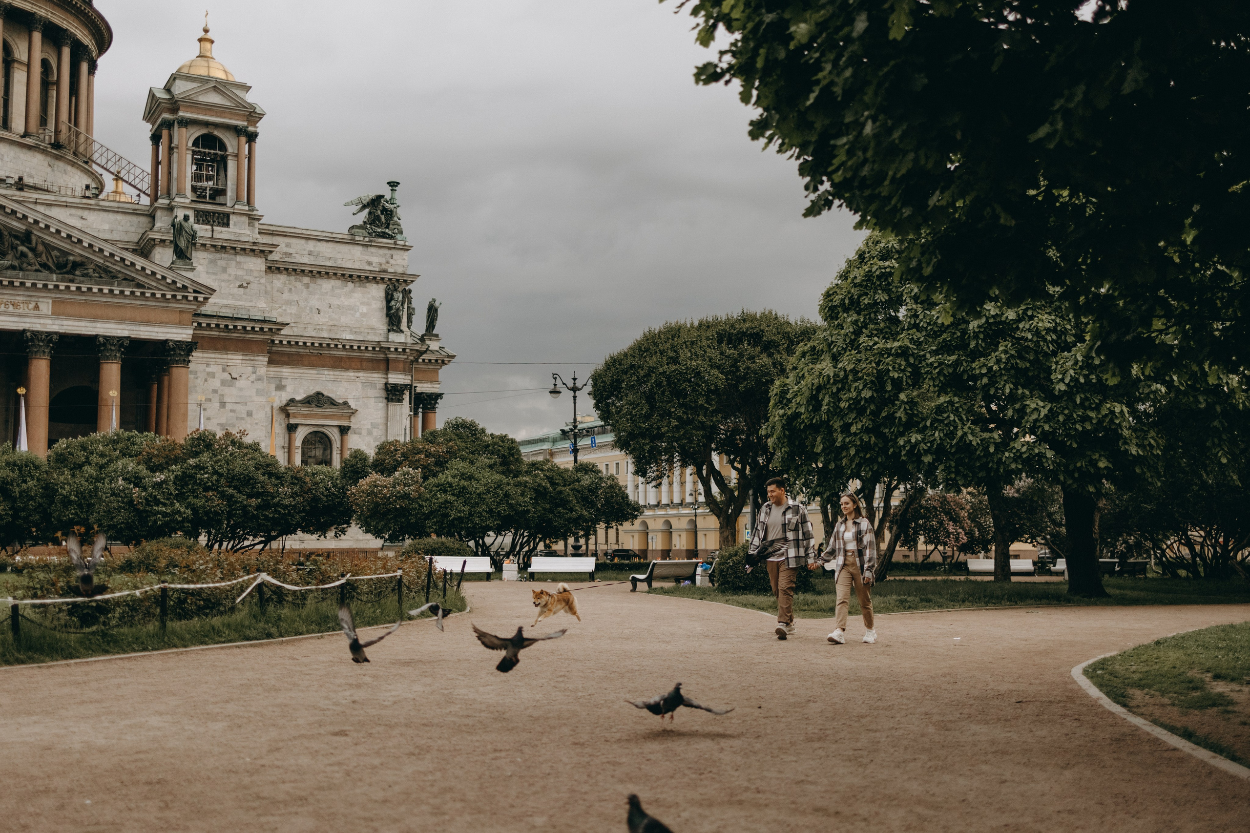 Сириус и его семья. Фотограф — Анималист | Санкт-Петербург