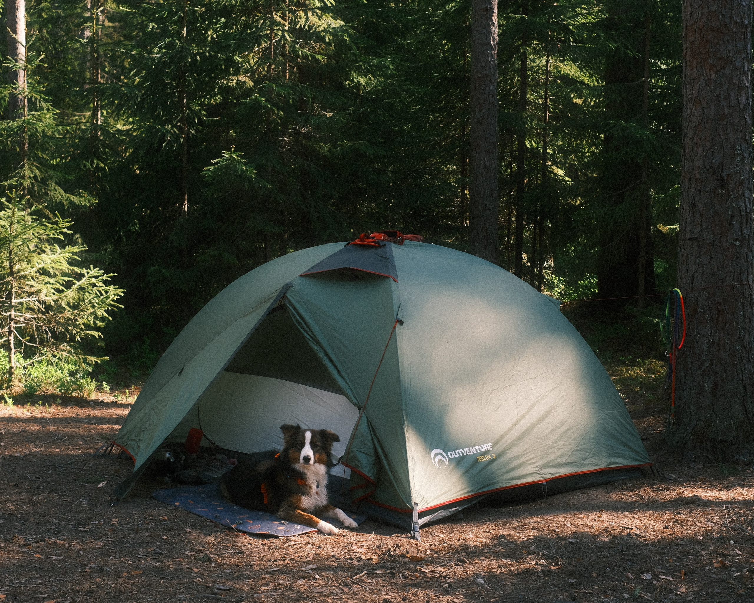 Орехово | май 2025