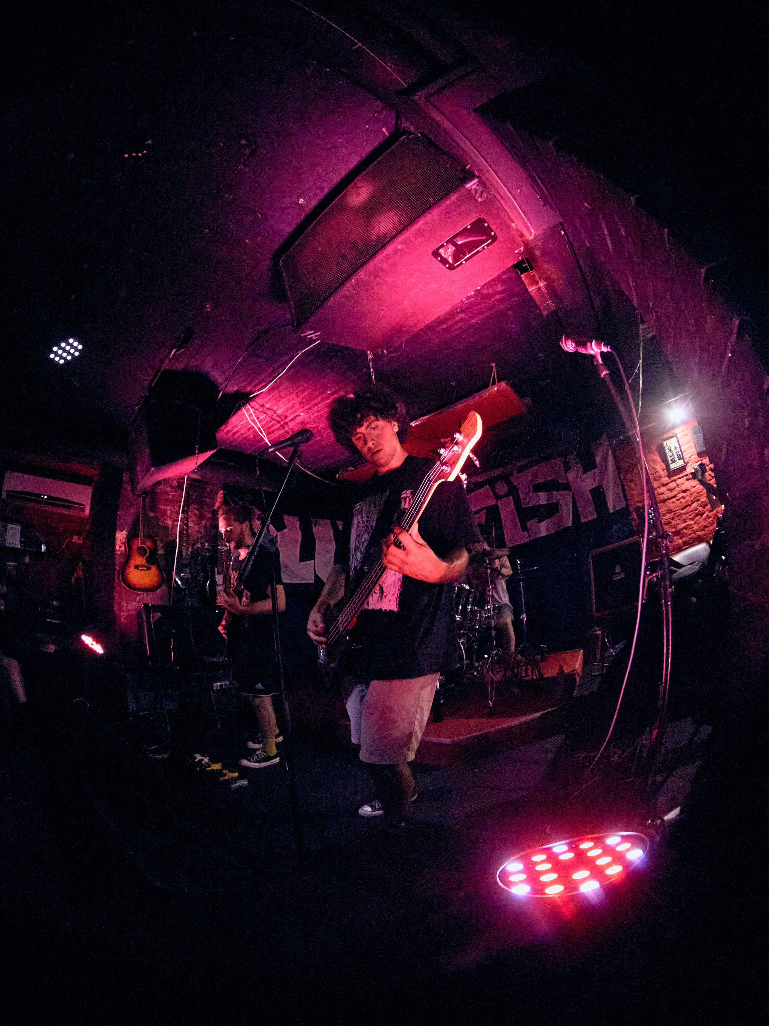 Plush Fish / ВЕЛИКОЕСЧАСТЬЕ / Мятный Крикет. Фотограф Юлия Маринина