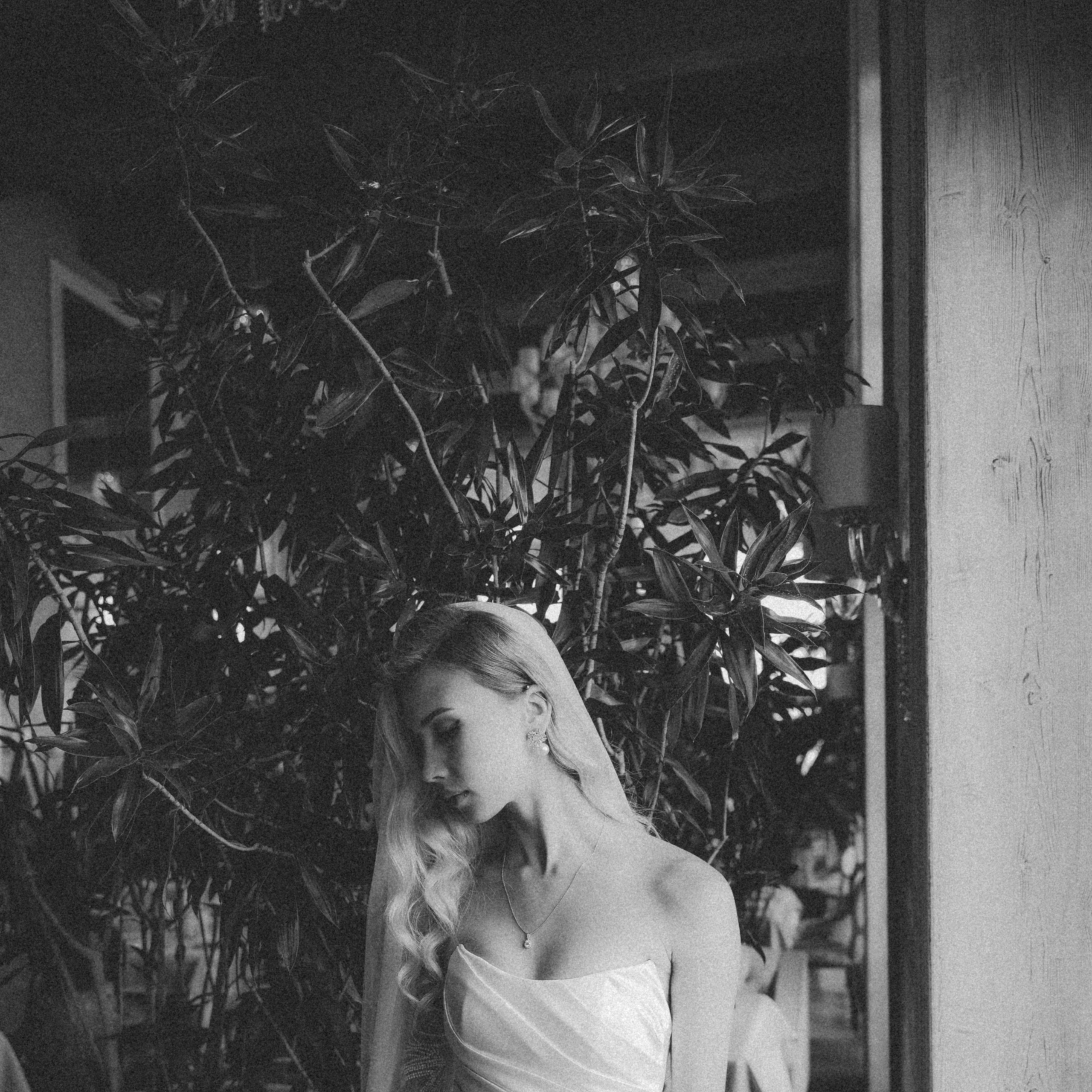 Wedding. VISUAL ARTIST · KRONGAUZ ANASTASIA