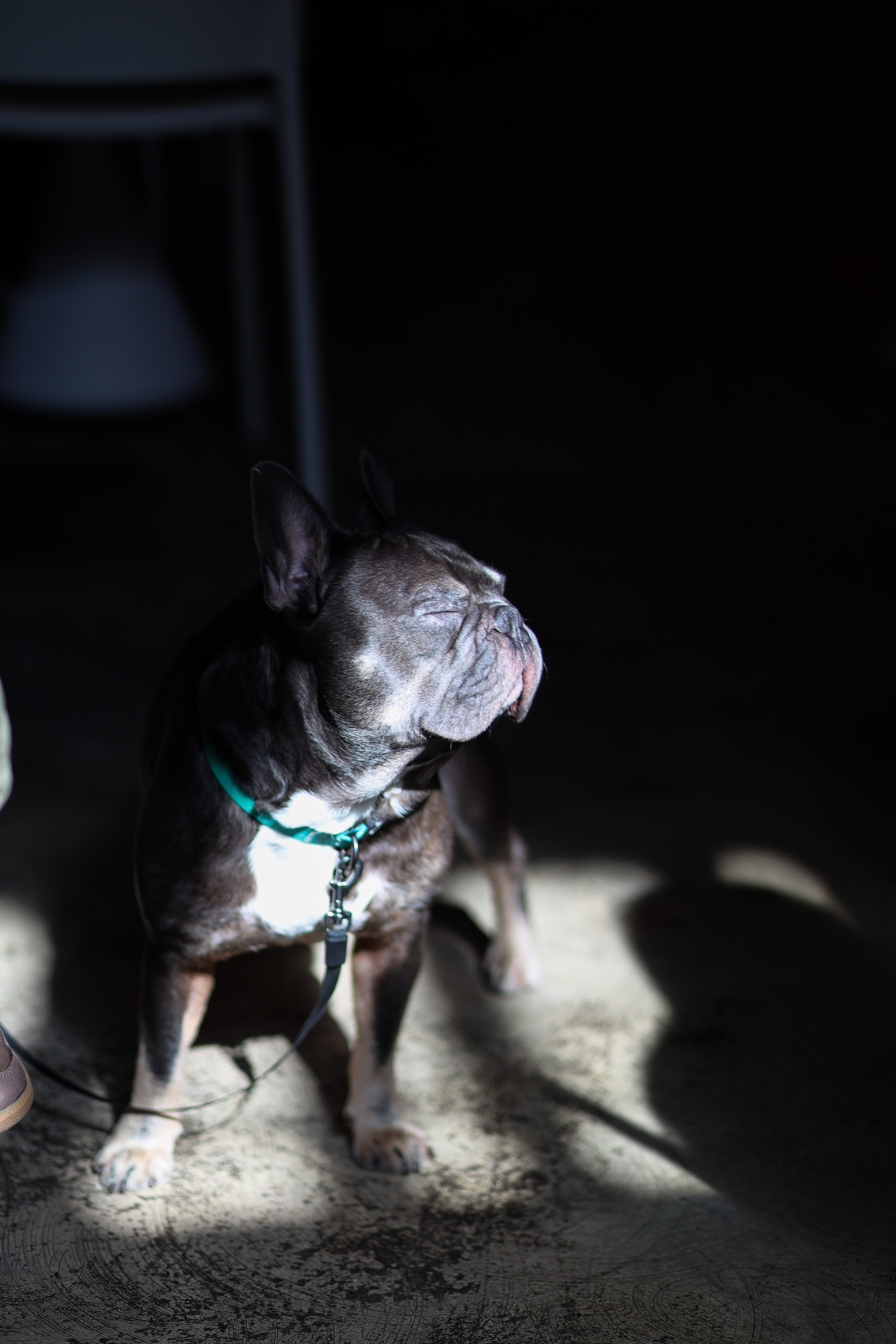 Gastrodvor 8 March. Дженбаз Павел — фотограф в Ялте