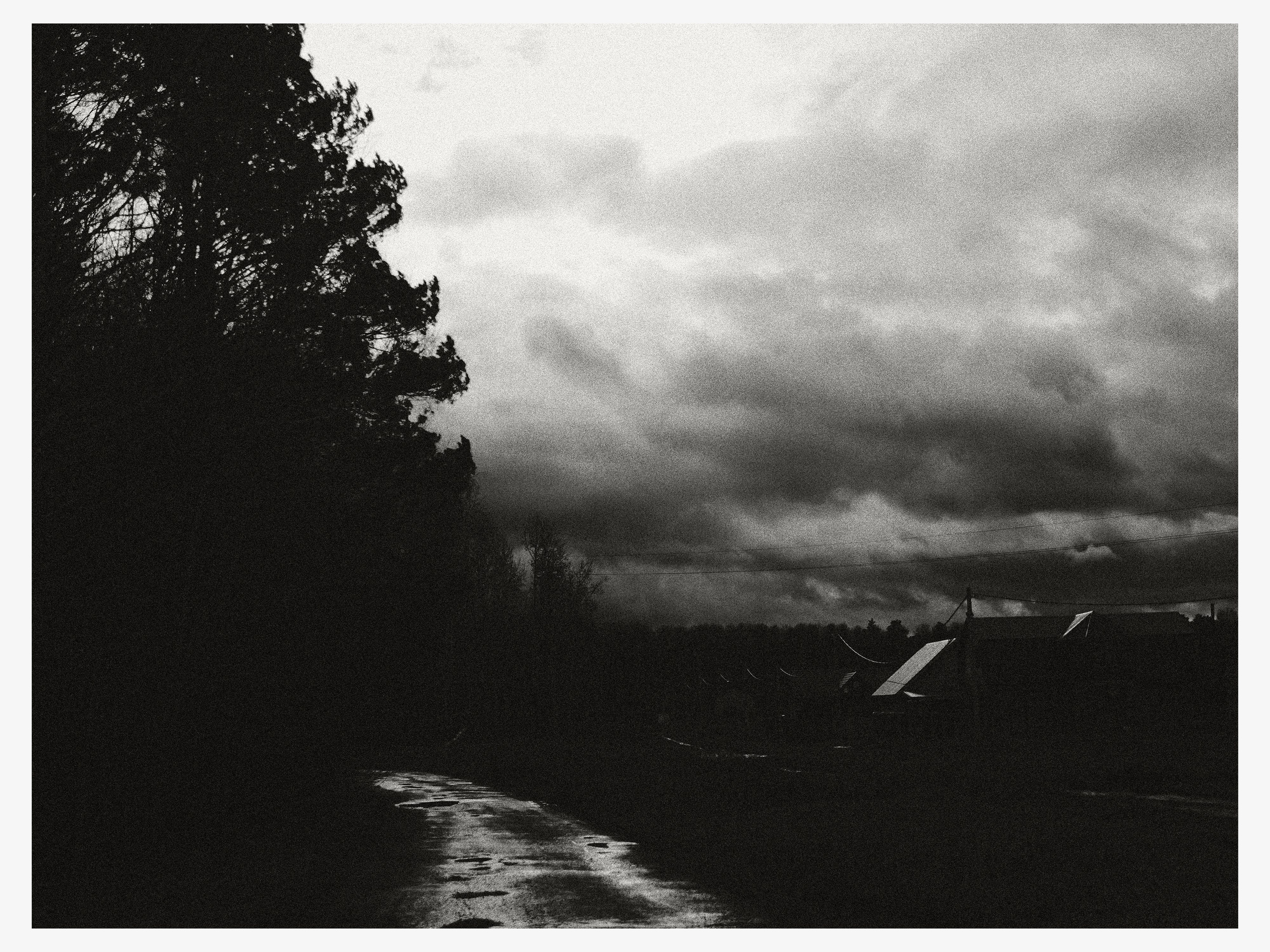 02.11.25 — Ларинский заказник (Томская обл.). Mark Zarya — Casual Photography