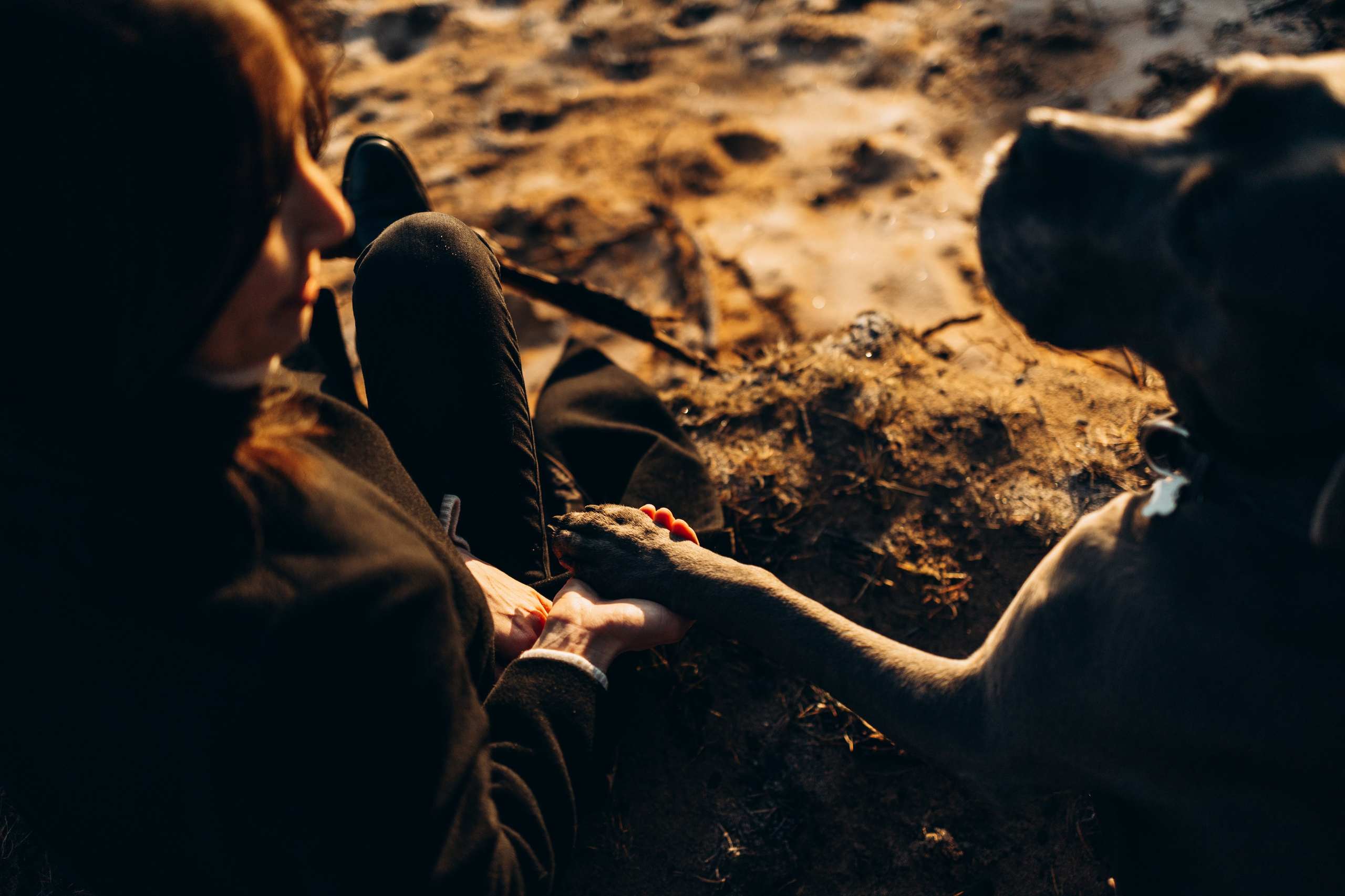 Анна и Лана. Фотограф — Анималист | Санкт-Петербург