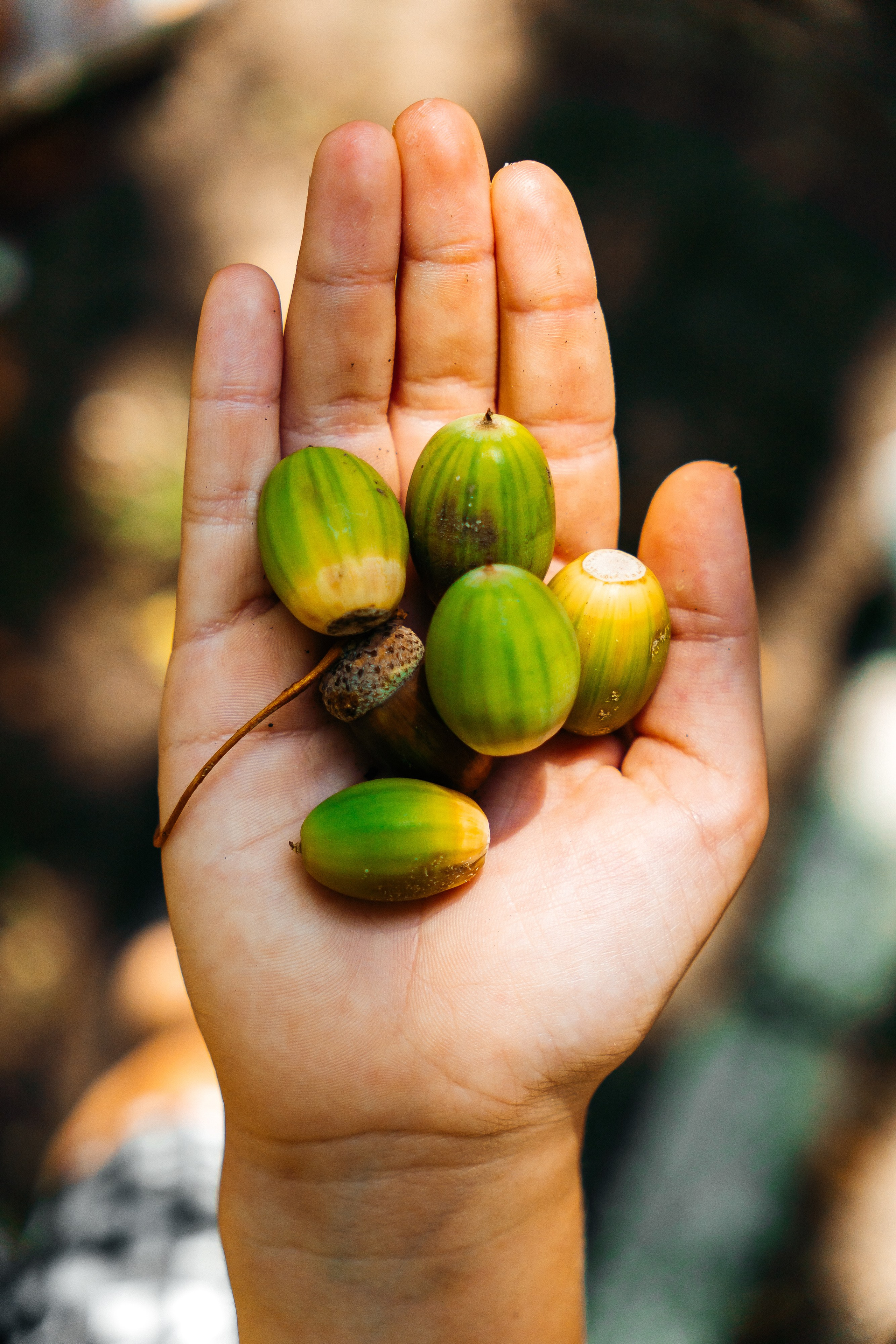 Ханмурзин Рустам — Детские праздники. Семейный и LifeStyle фотограф в Жигулевске и Тольятти Рустам Ханмурзин
