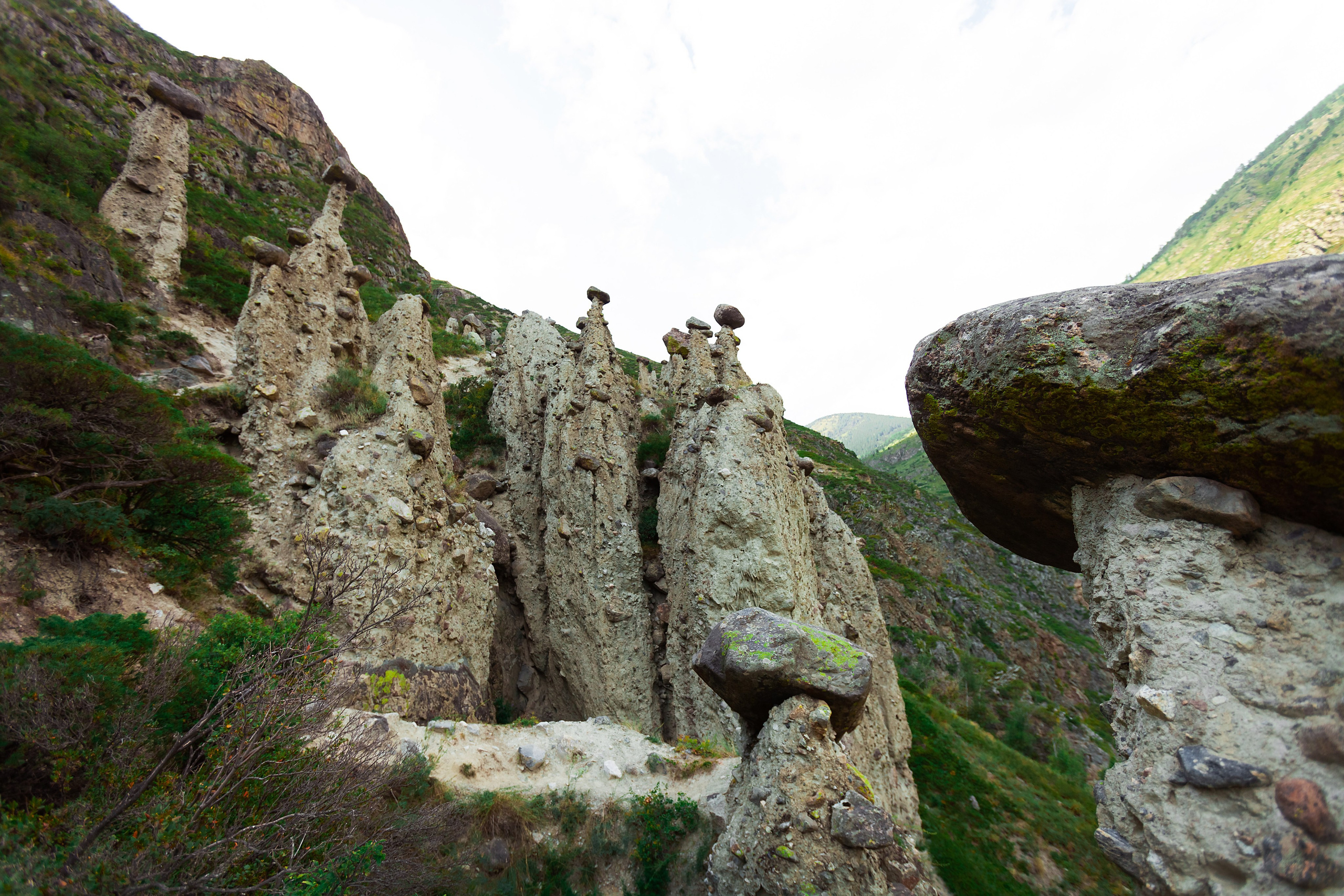 АЛТАЙ 2024 / ALTAI 2024. Главная