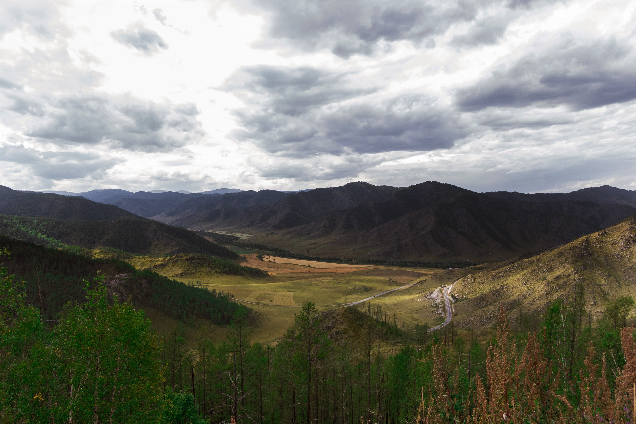 АЛТАЙ 2024 / ALTAI 2024. Главная