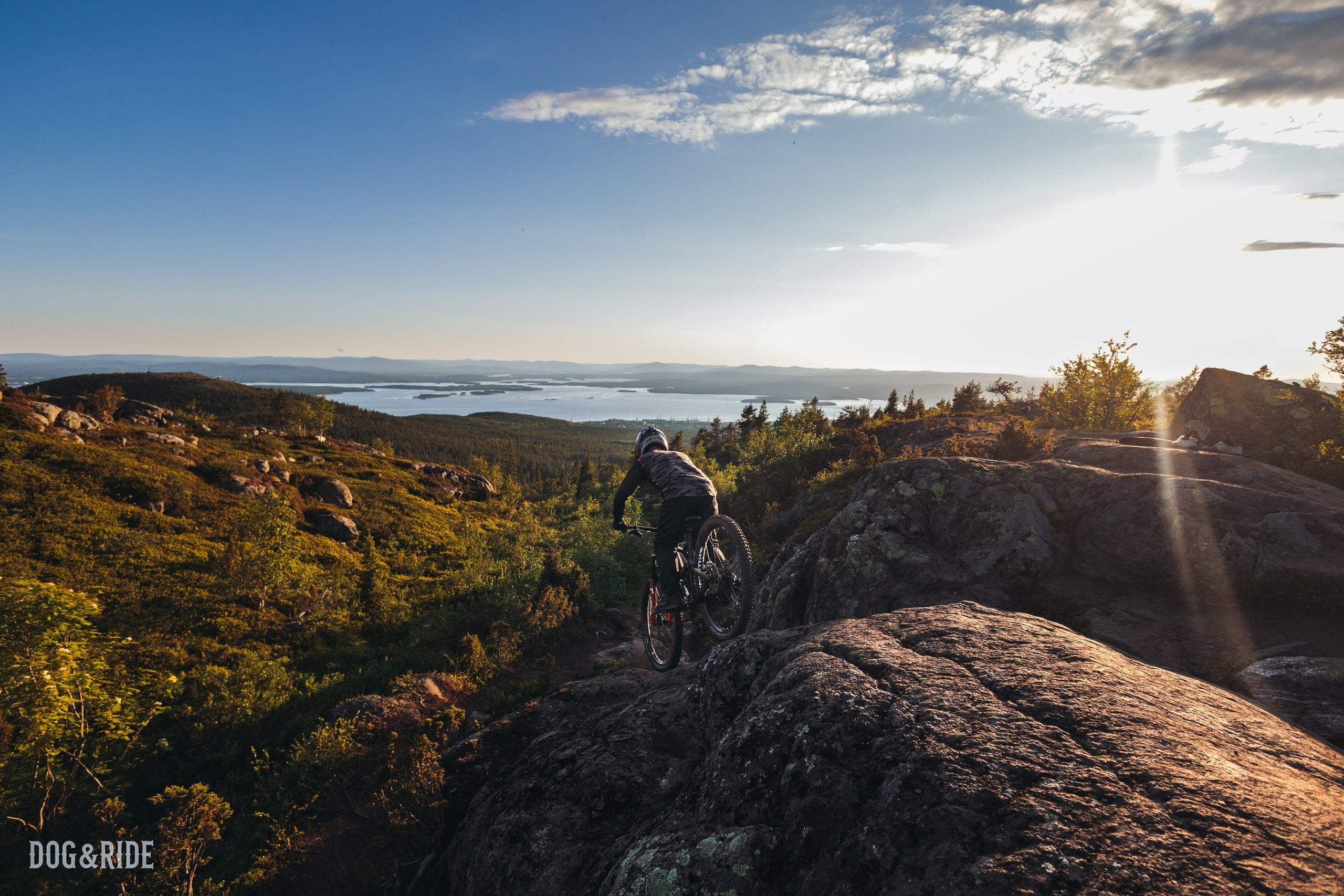 Кандалакшка. Фотограф анималист Никита Натальный