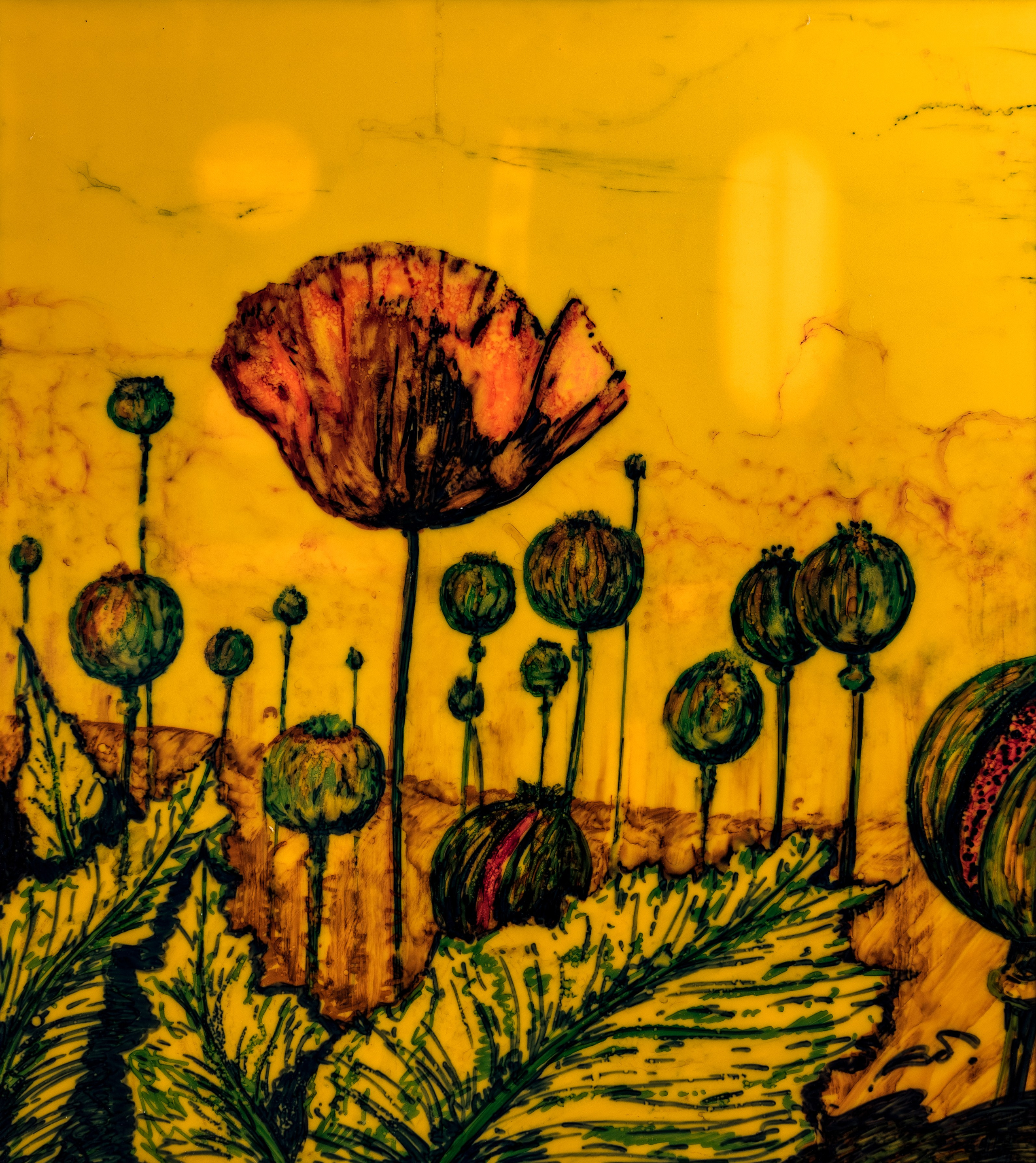 Мои картины. Свадебный фотограф Кисловодск Пятигорск Ессентуки Железноводск Владимир Батищев