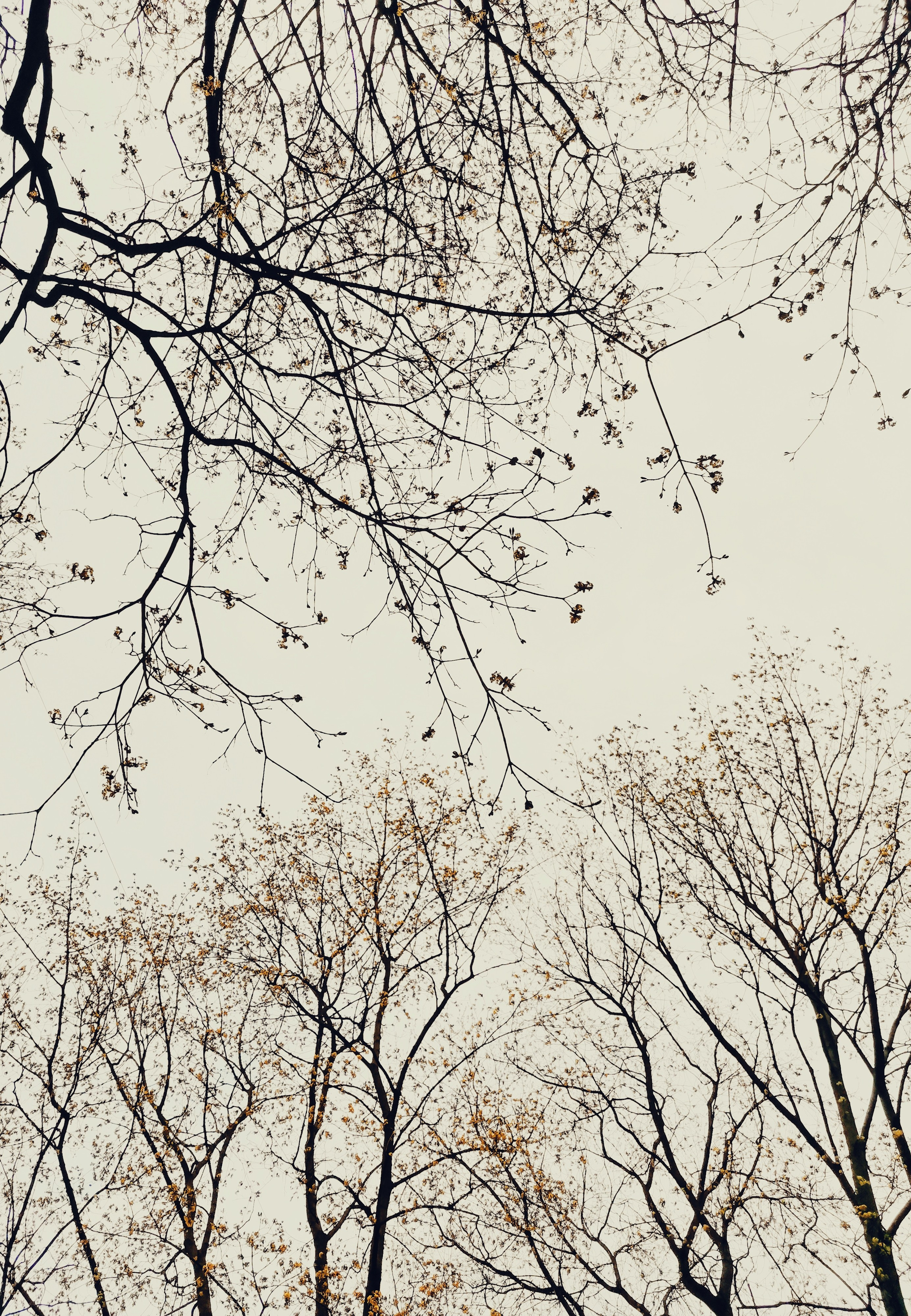 Небо. Фотограф Старый Оскол Мавлыга Мария