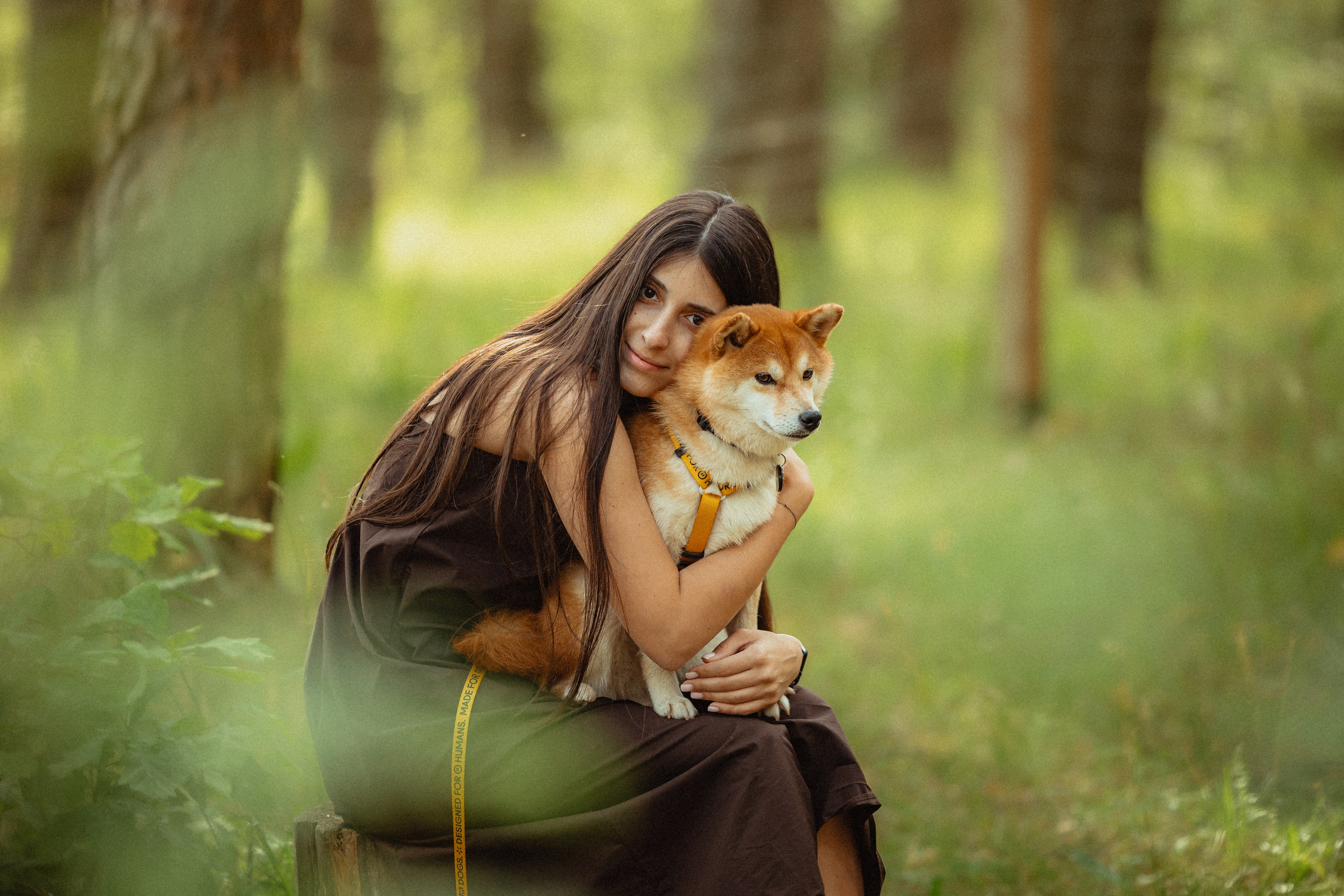 Выездной дог-тренинг от школы «Шерсть имею»