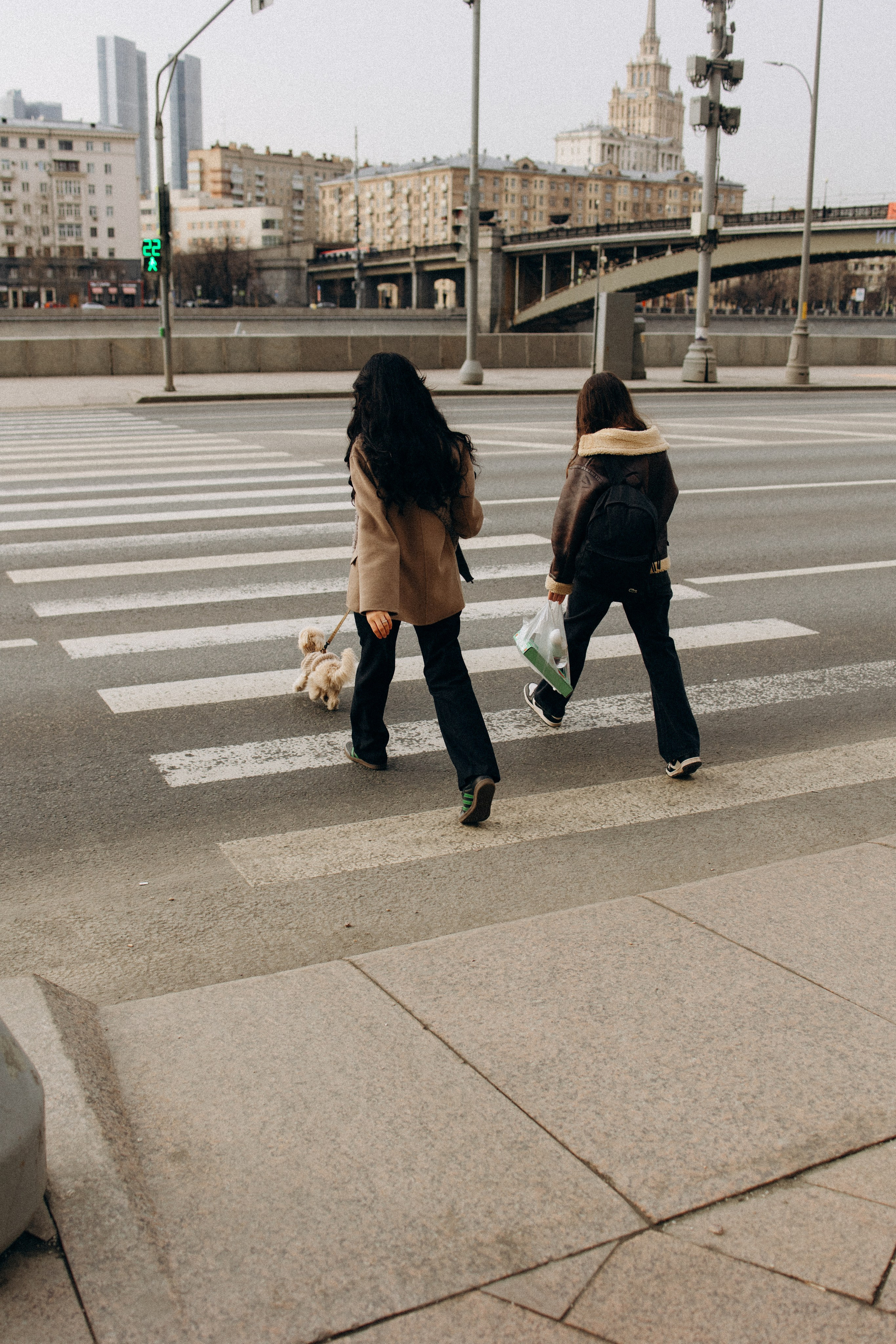 Маша, Лиза и Луна. Фотораф — анималист Мария Шистка