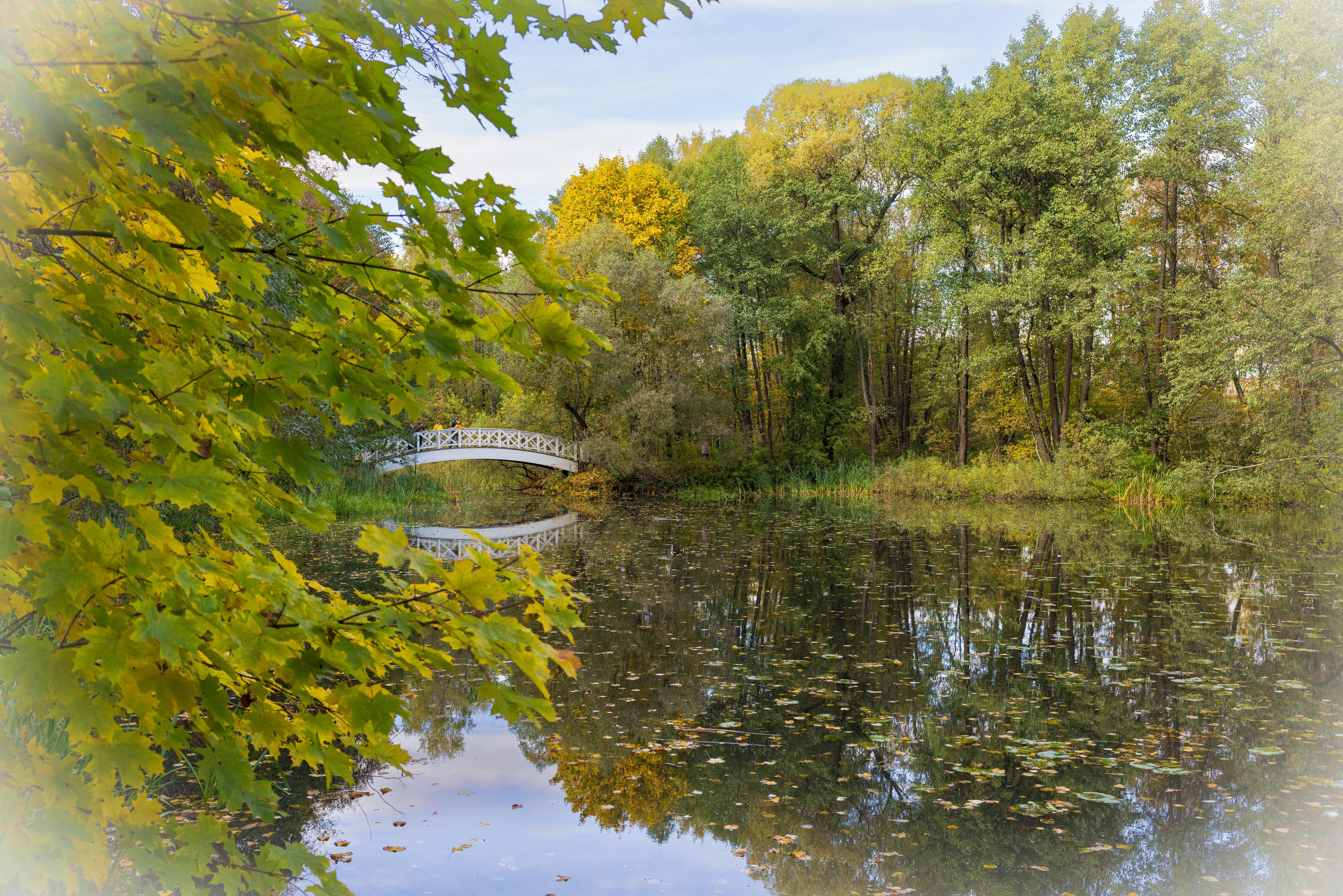 Горбатый мост