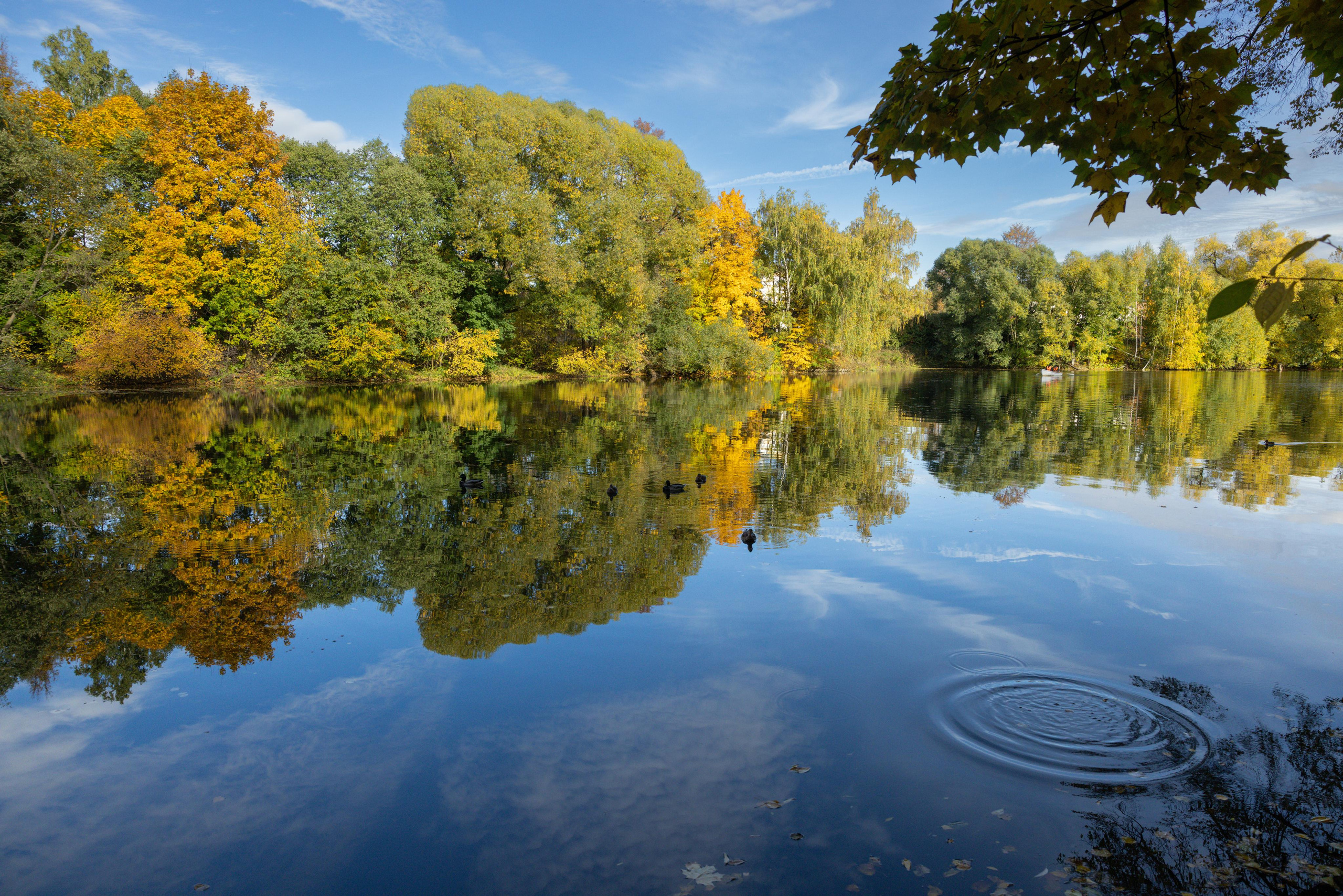 Пруд в усадьбе Остафьево