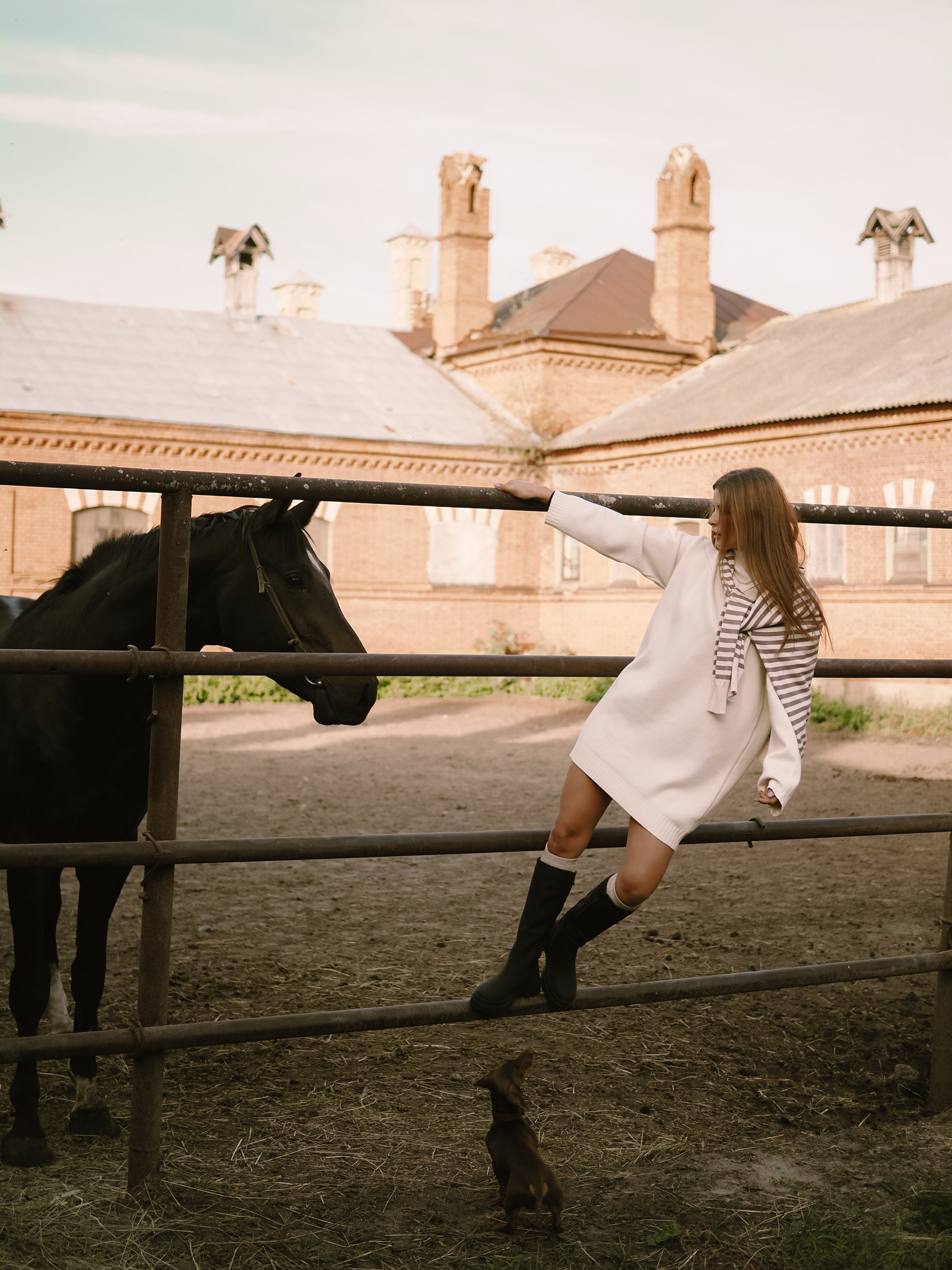 Фотопроект с лошадьми. Фотограф Рязань. Семейный Свадебный фотограф