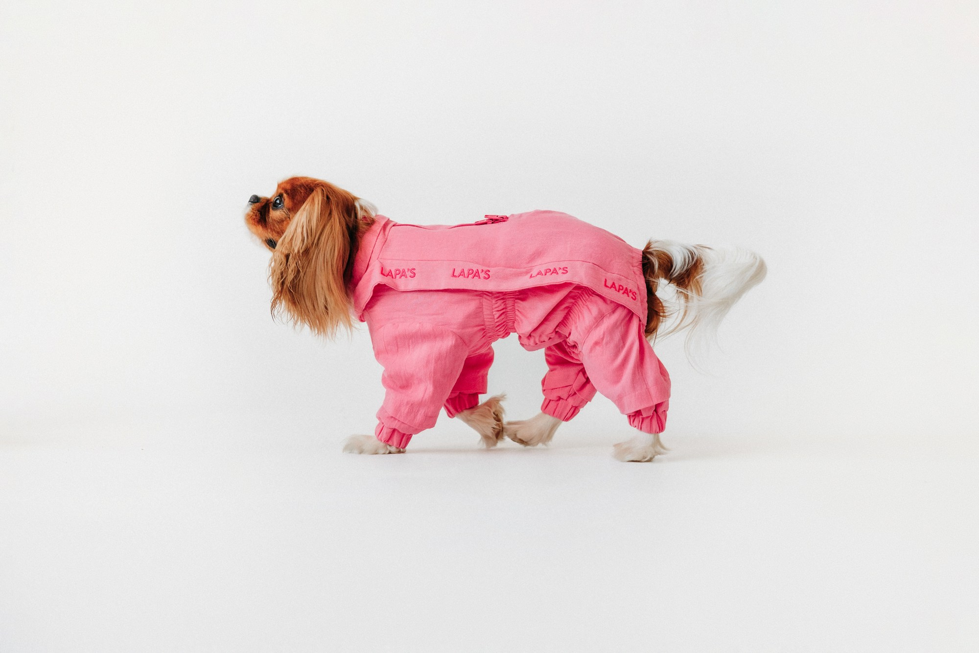 Одежда Lapa`s brand. Фотограф-анималист Елена Радченко, Москва