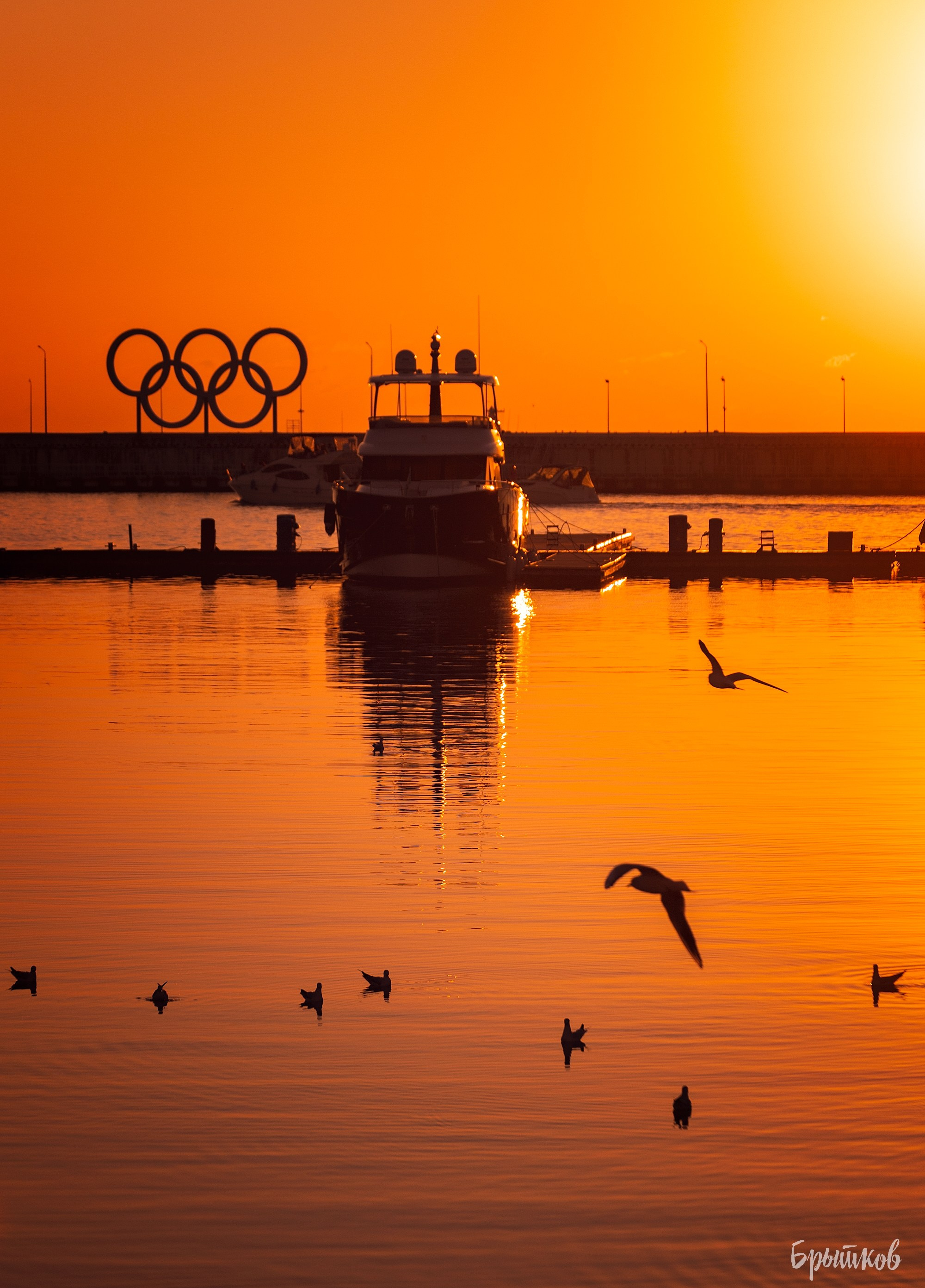 морпорт сочи Брытков Николай