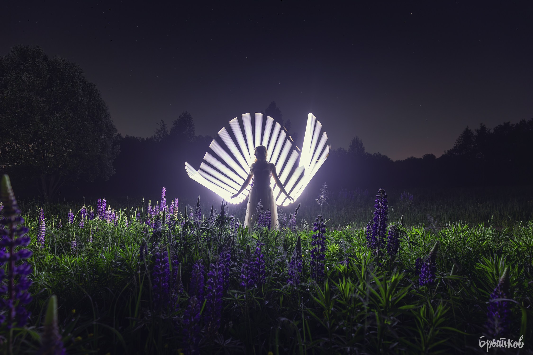 Фризлайт. Николай Брытков — фотограф в Туле